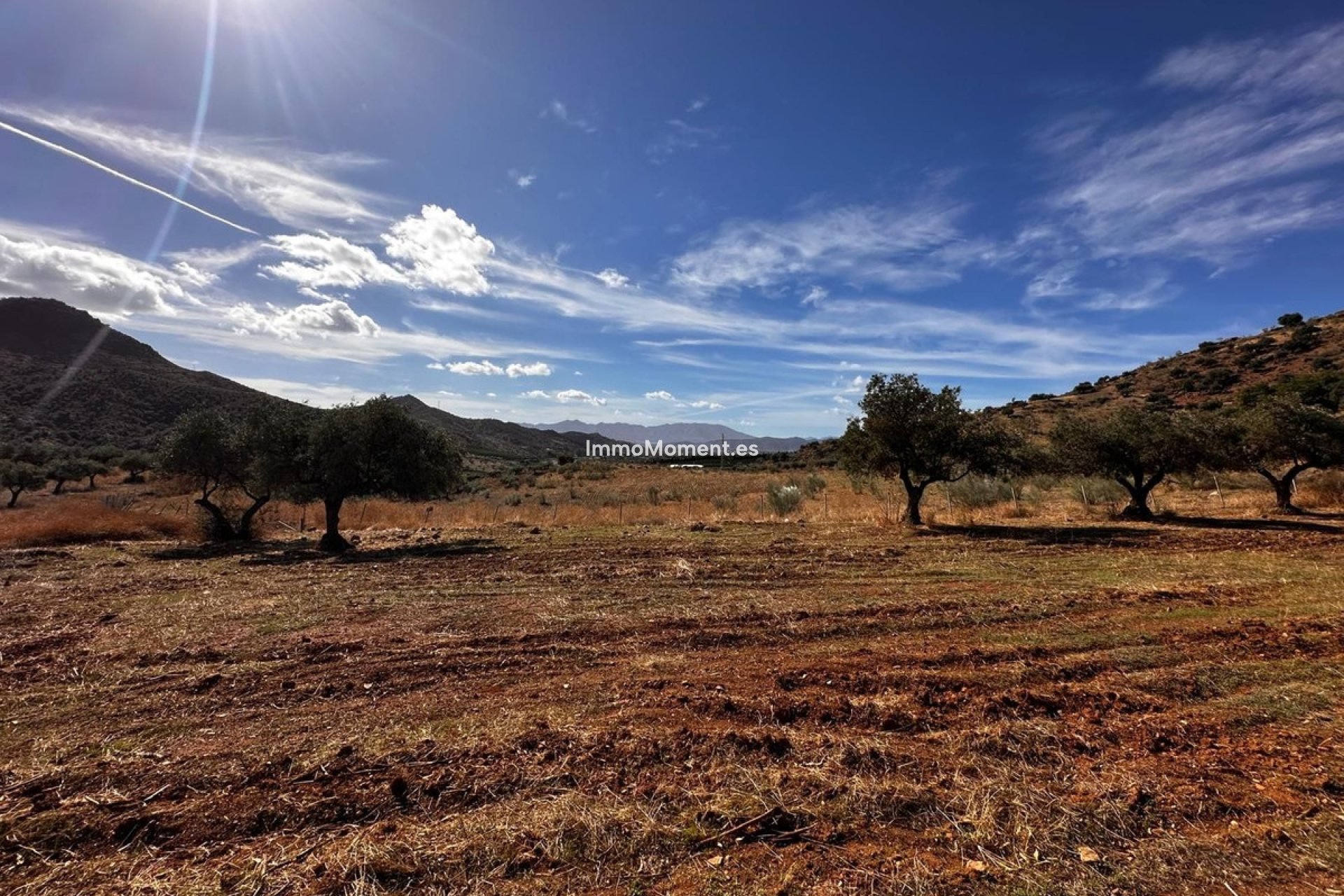 Wiederverkauf - Land -   Inländisch - Almogía