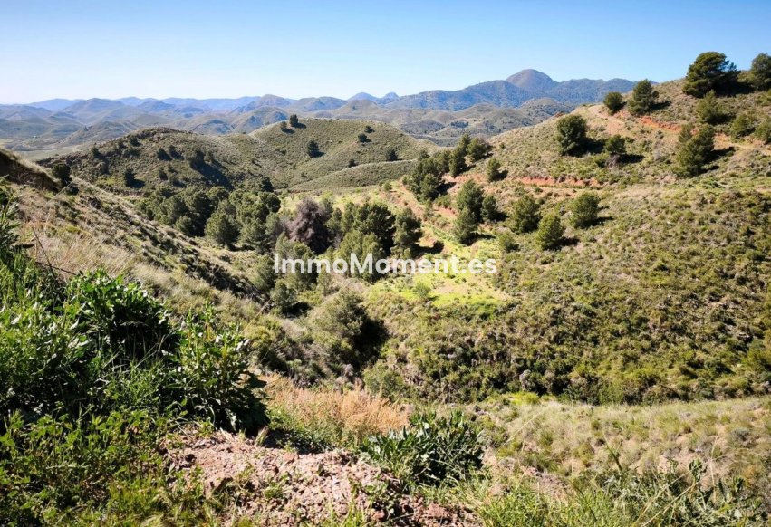 Wiederverkauf - Land - Lorca - Lorca Centro