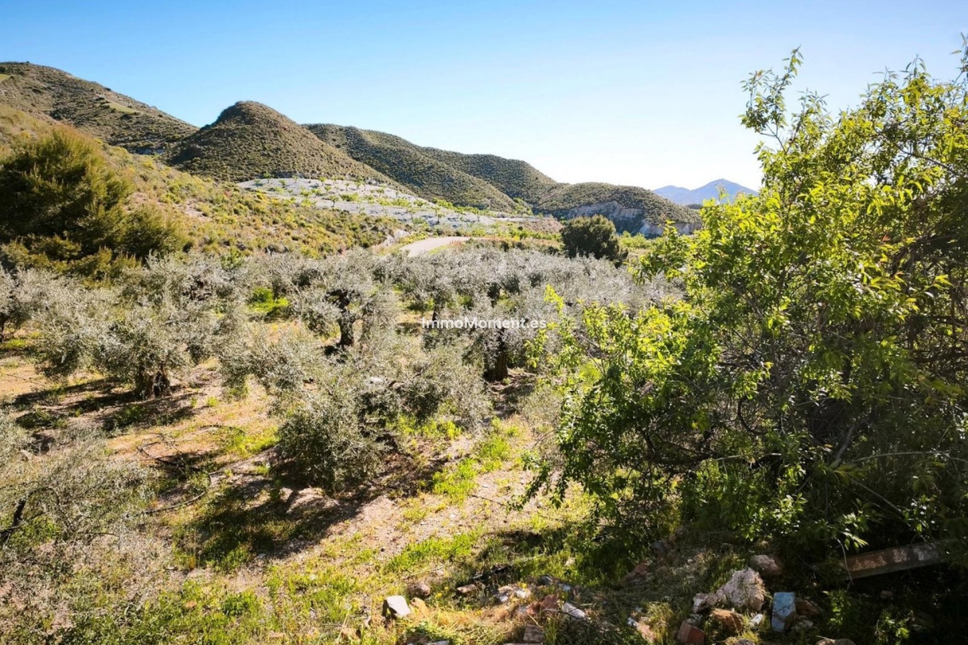 Wiederverkauf - Land - Lorca - Lorca Centro