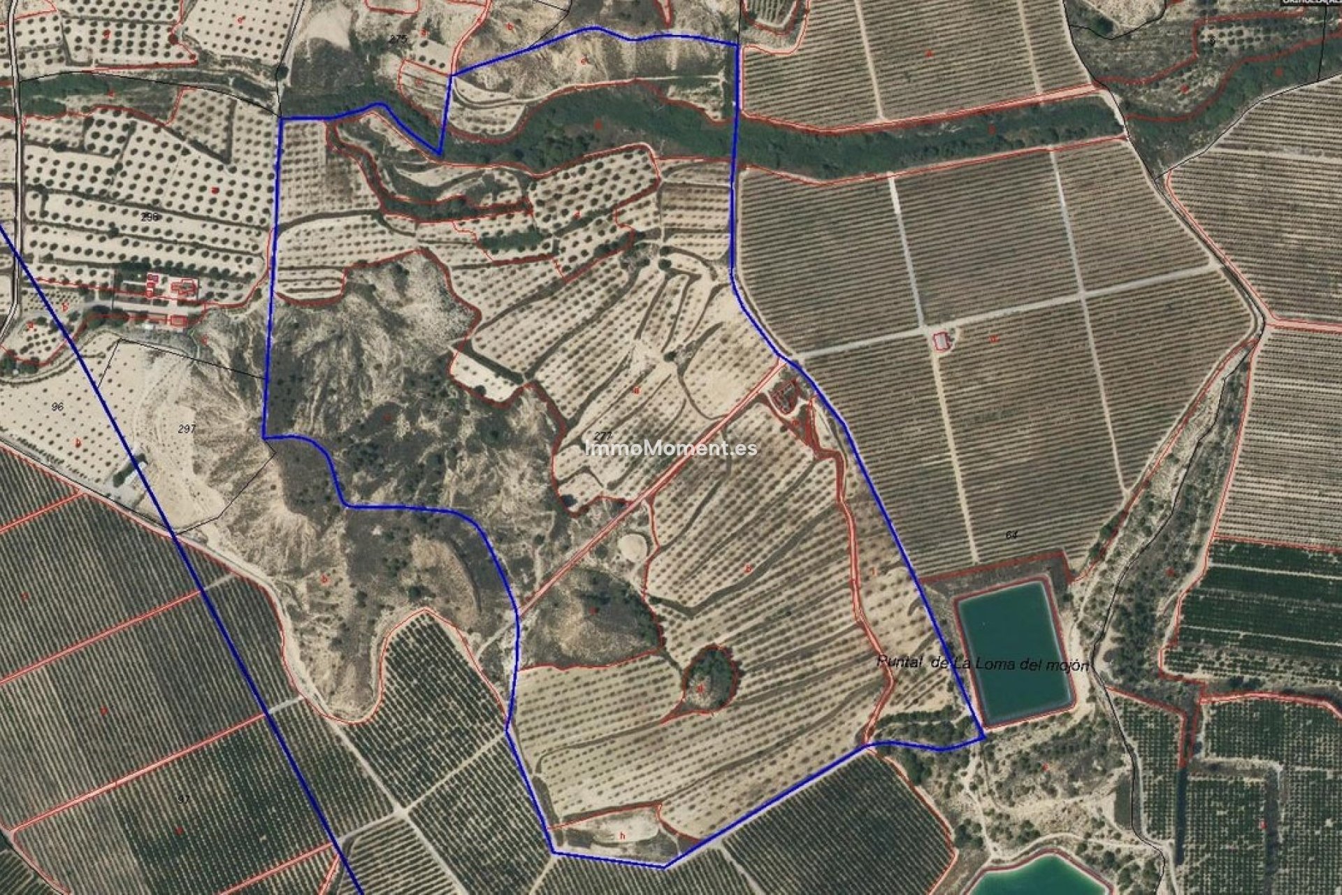 Wiederverkauf - Land - Orihuela - Torremendo