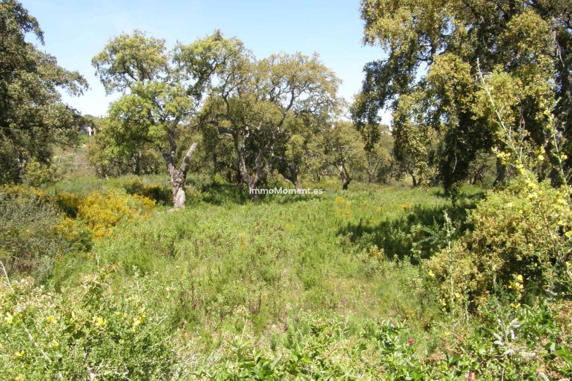 Wiederverkauf - Land - Sotogrande - San Roque Club