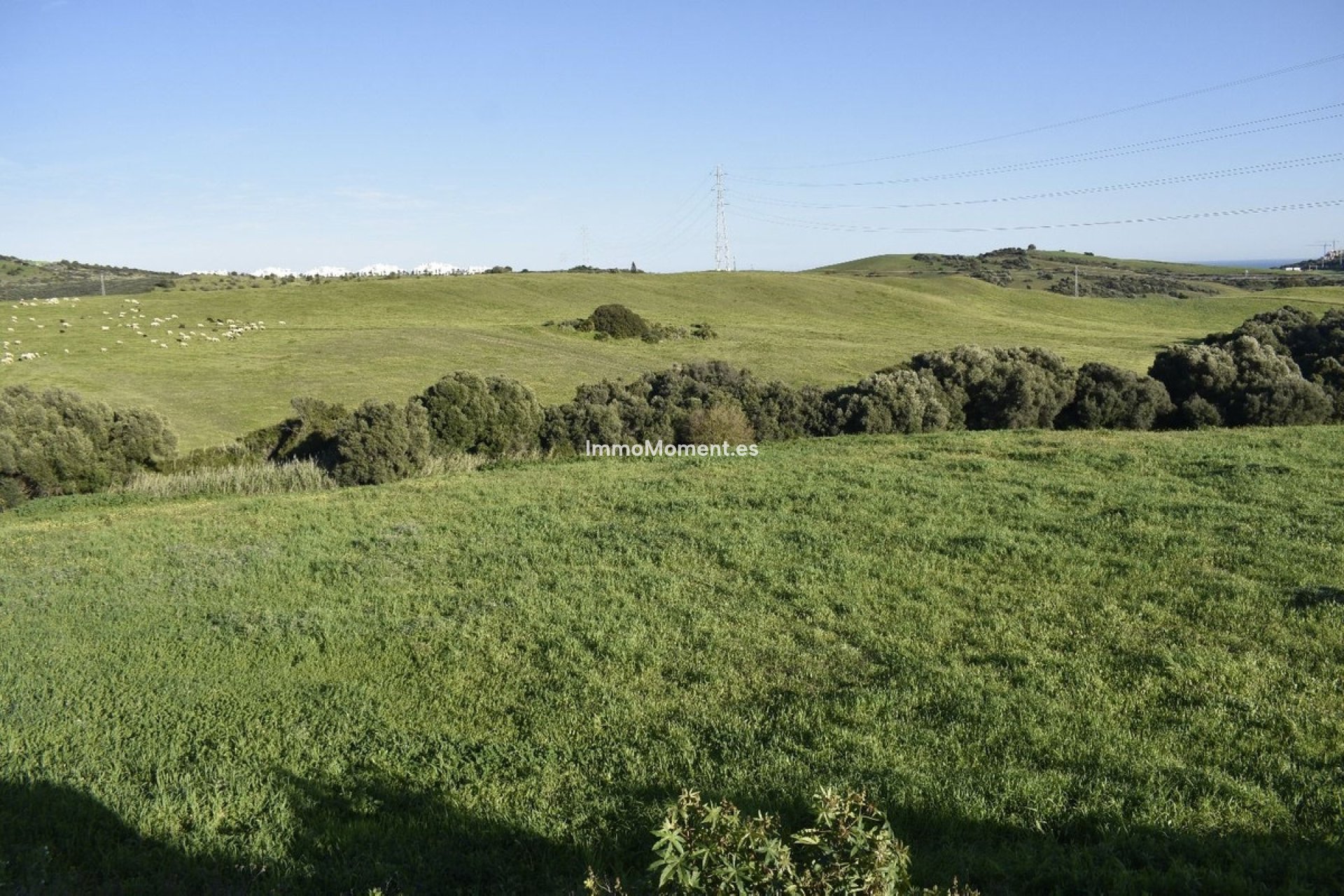 Wiederverkauf - Landhaus - Casares - Casares Centro