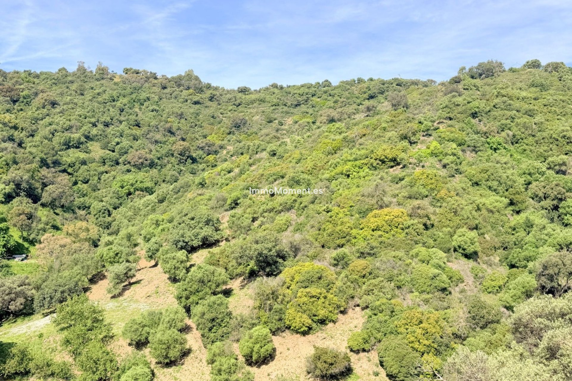 Wiederverkauf - Landhaus - Casares - Casares Centro