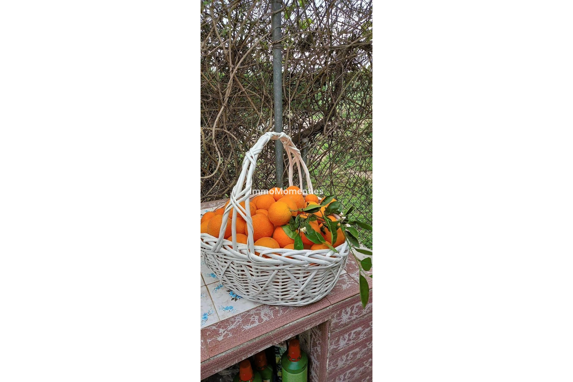 Wiederverkauf - Landhaus - Dolores - Dolores Centro