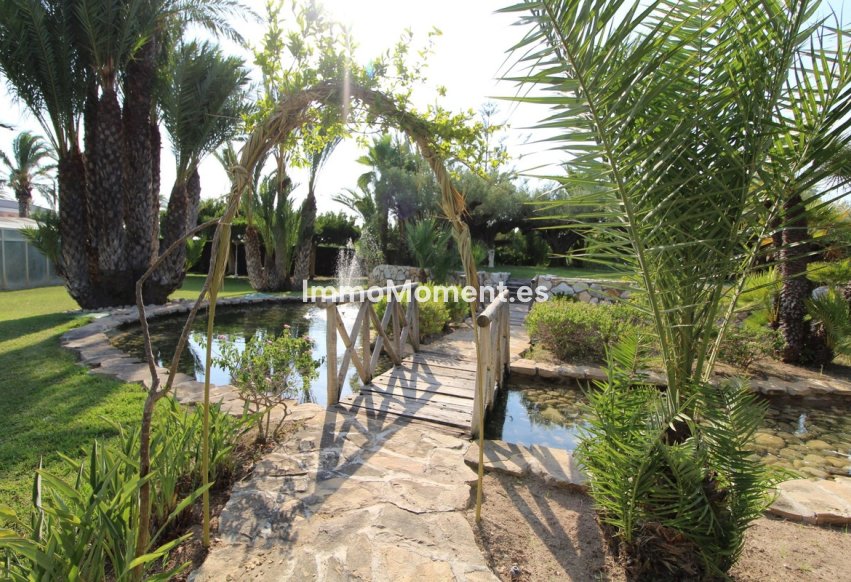 Wiederverkauf - Landhaus - Elche - Valverde