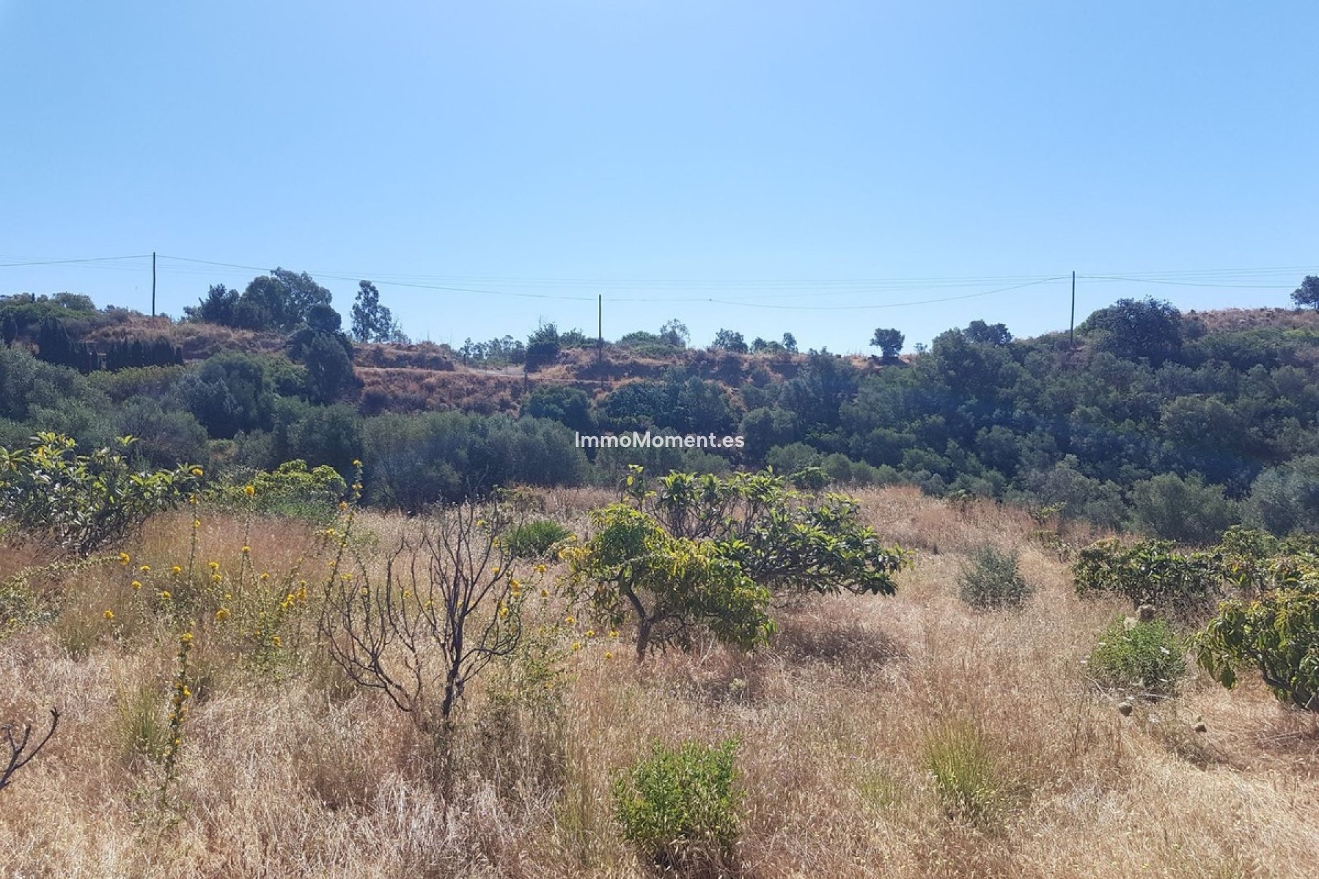 Wiederverkauf - Landhaus - Estepona  - Estepona Centro