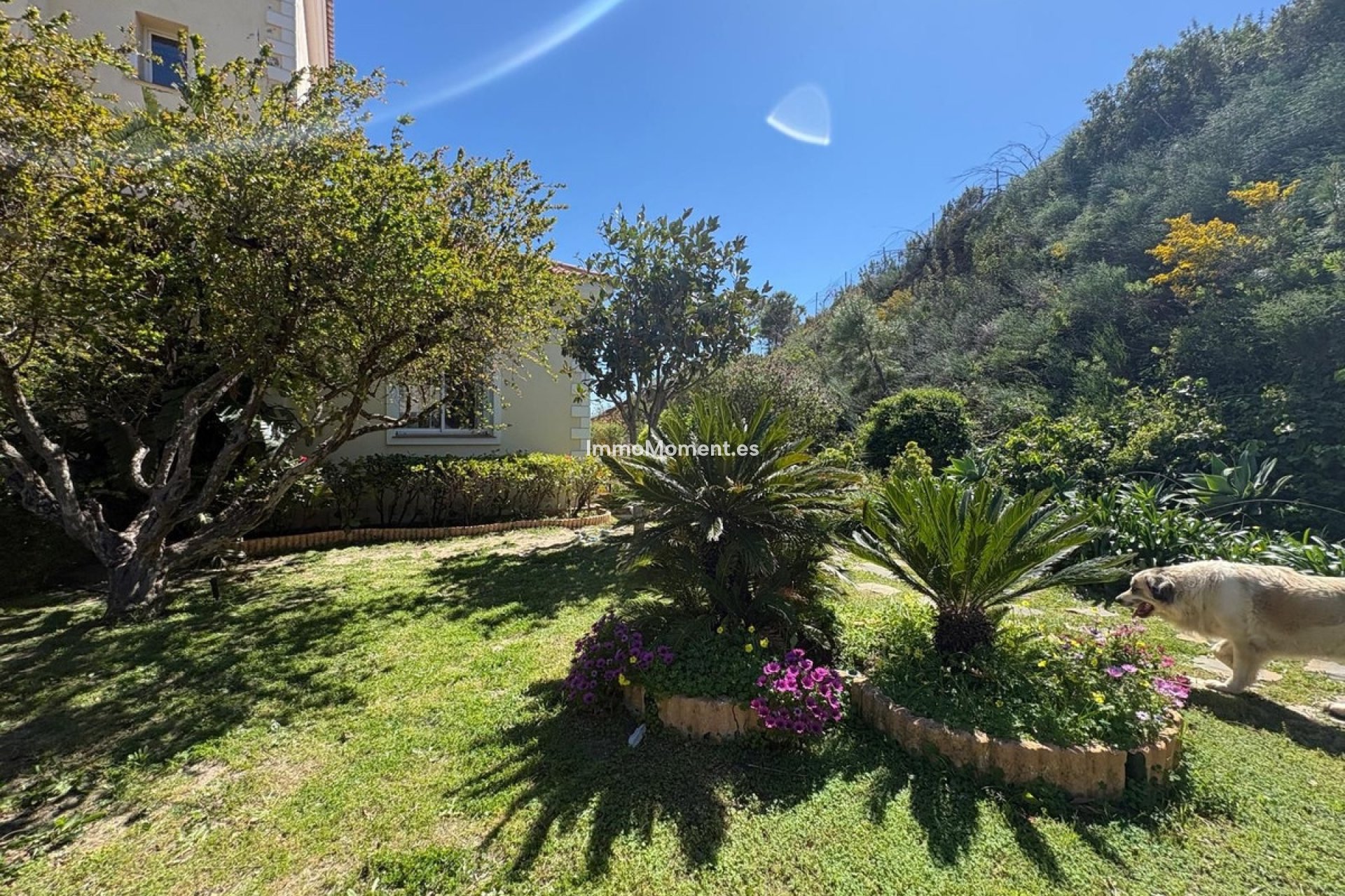 Wiederverkauf - Landhaus - Estepona  - Estepona Centro