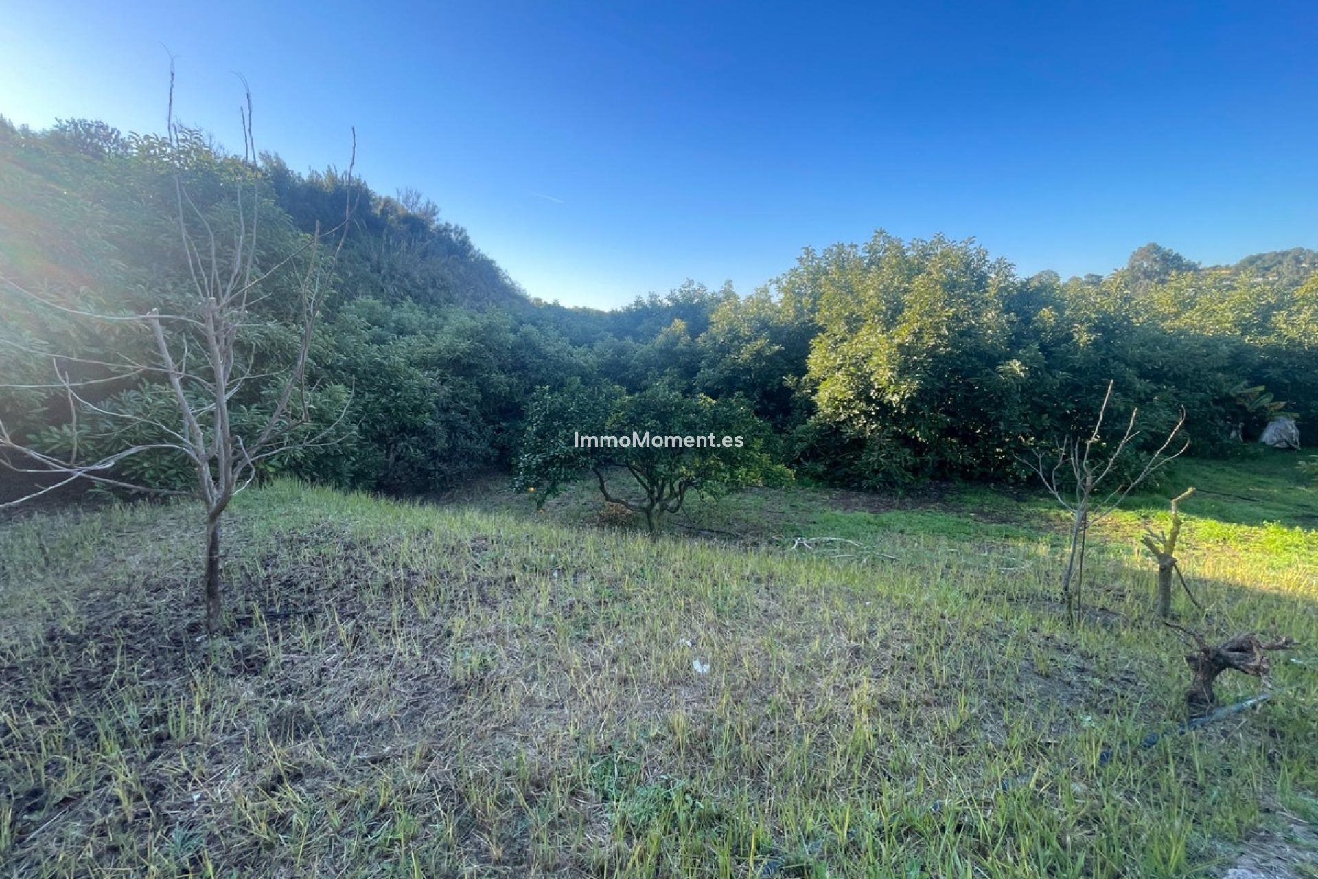 Wiederverkauf - Landhaus - Estepona  - Estepona Centro