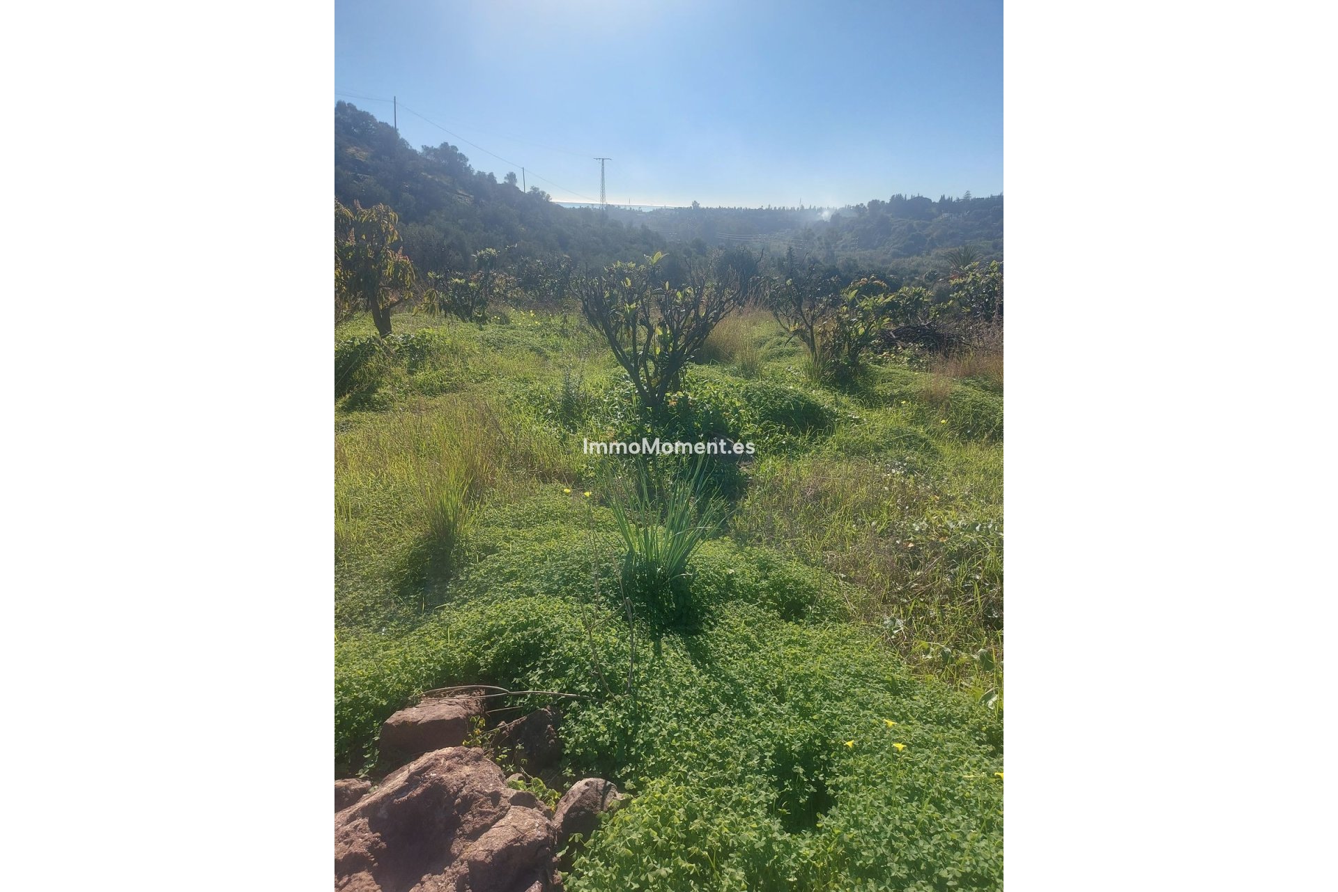 Wiederverkauf - Landhaus - Estepona  - Estepona Centro