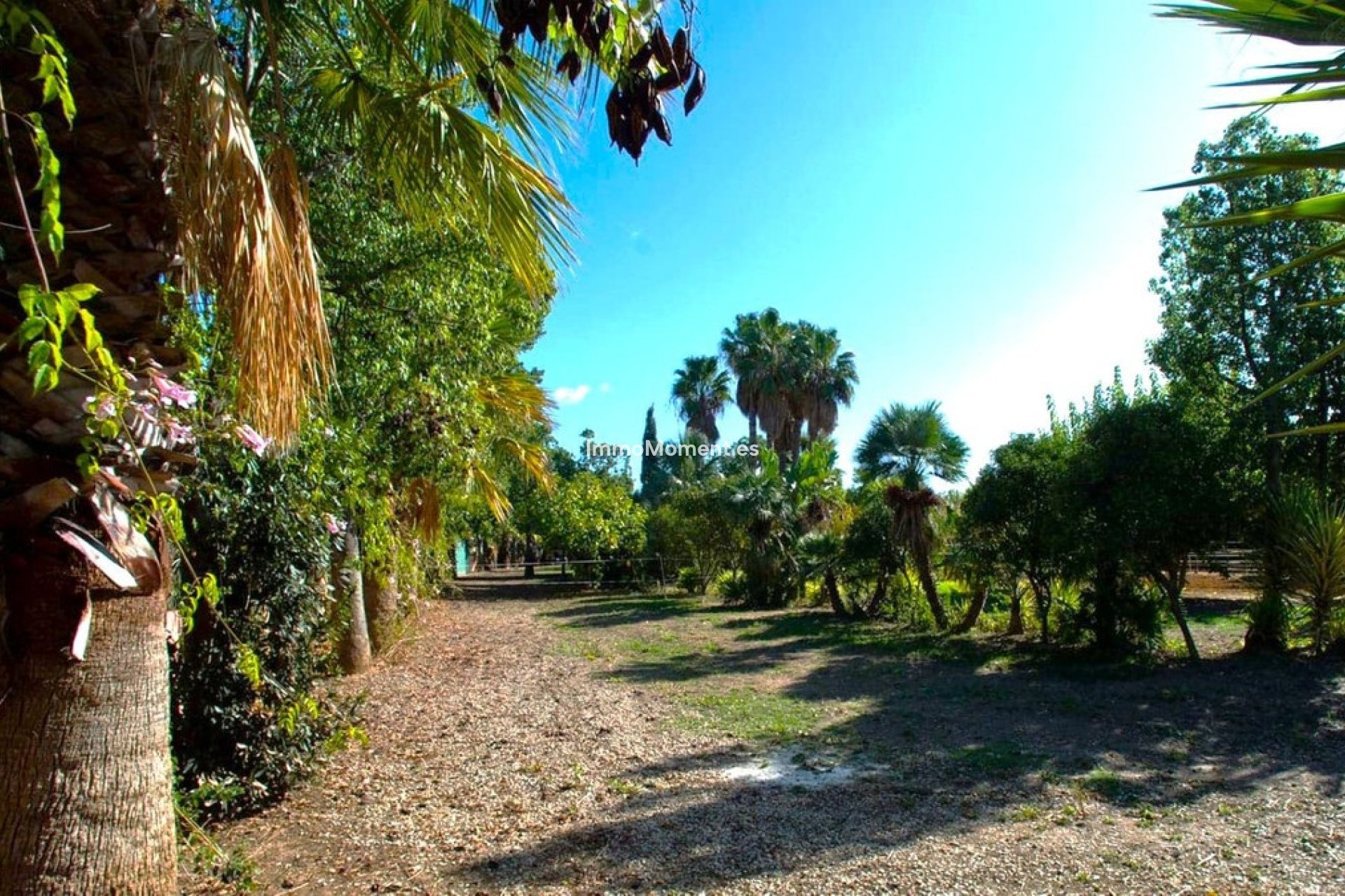 Wiederverkauf - Landhaus - Estepona  - Estepona Centro