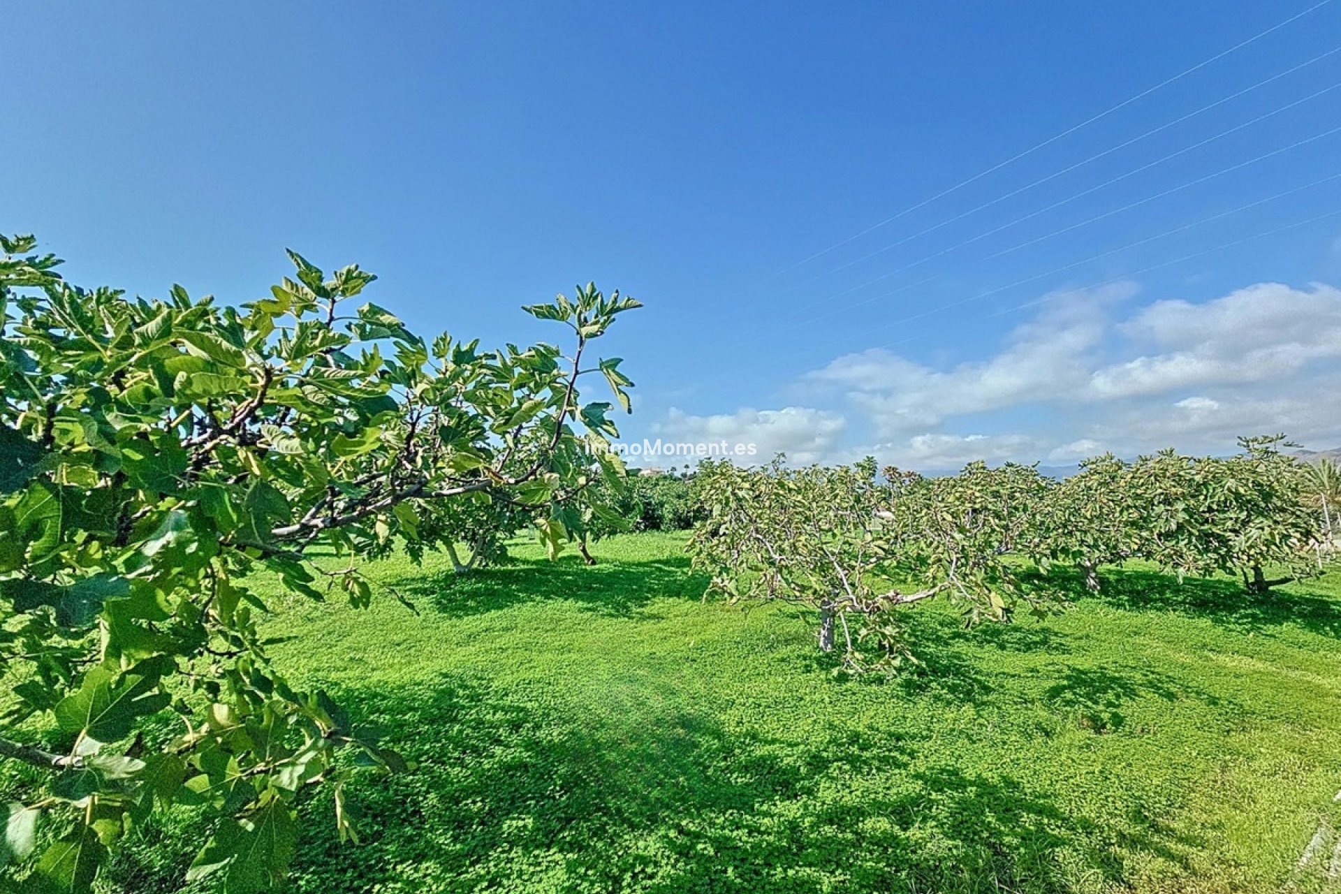 Wiederverkauf - Landhaus - Estepona  - New Golden Mile