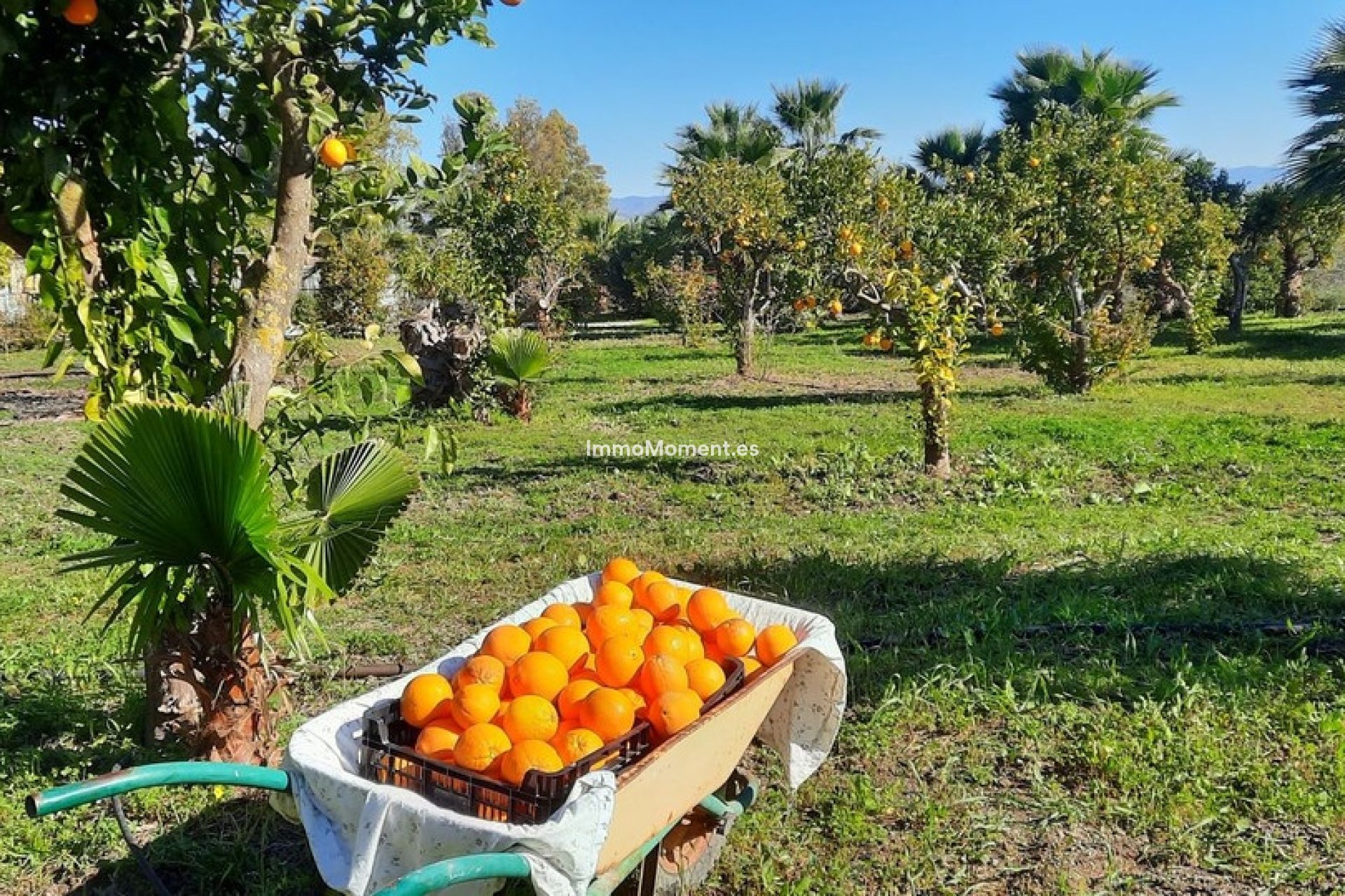 Wiederverkauf - Landhaus -   Inländisch - Alhaurín de la Torre