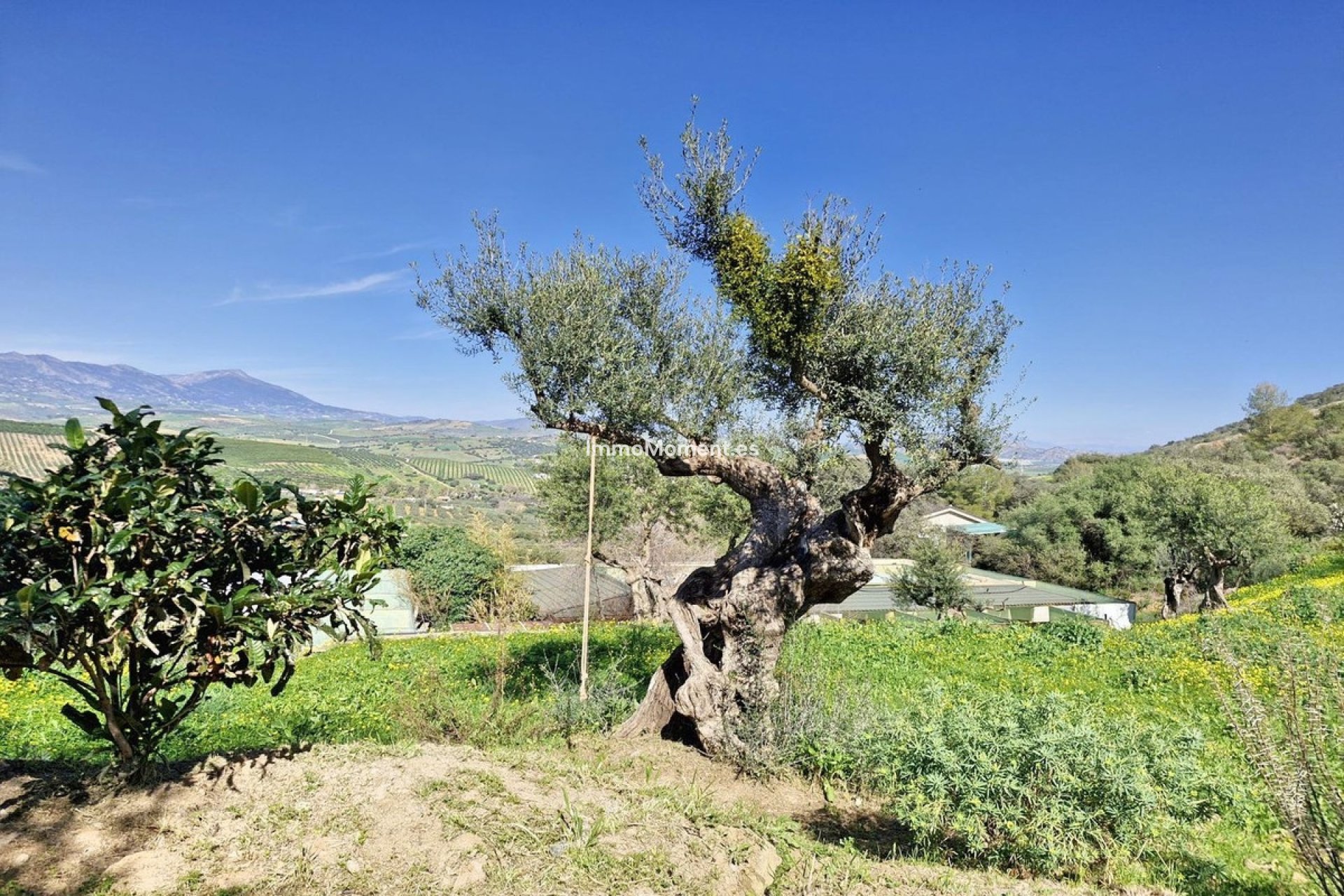 Wiederverkauf - Landhaus -   Inländisch - Coín