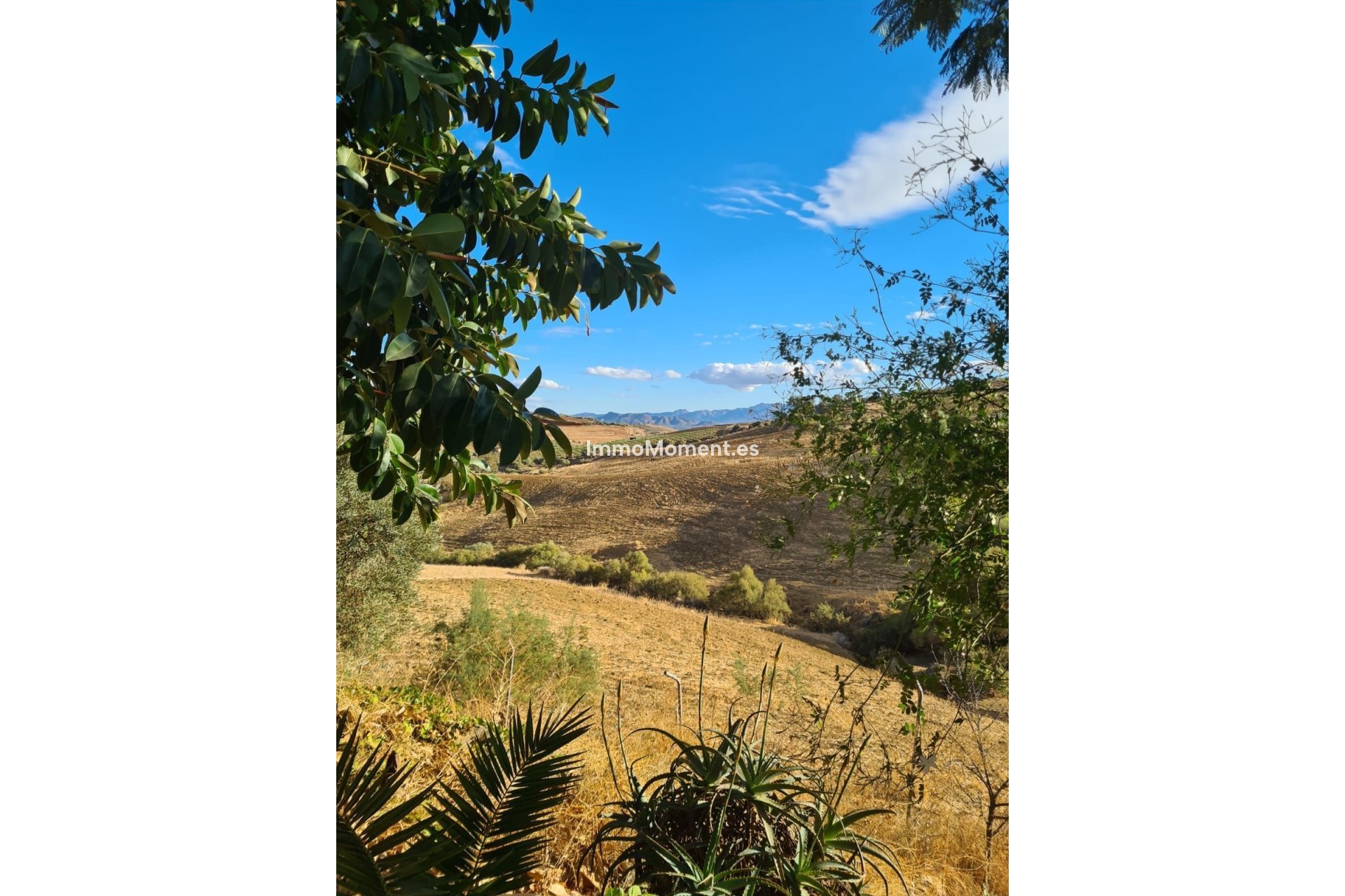 Wiederverkauf - Landhaus -   Inländisch - Pizarra