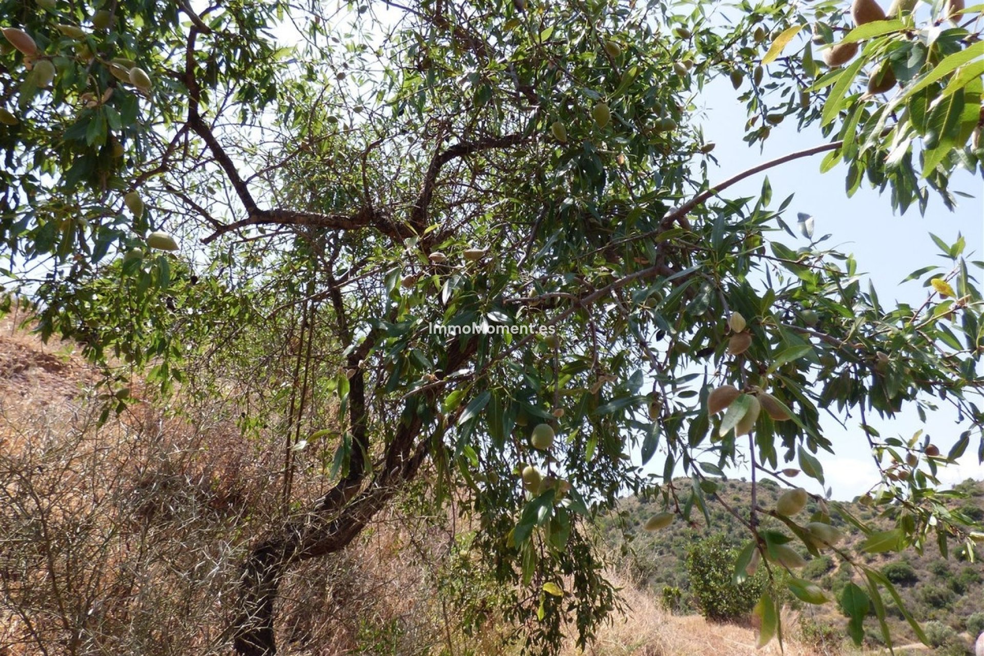 Wiederverkauf - Landhaus - Mijas - Mijas Costa