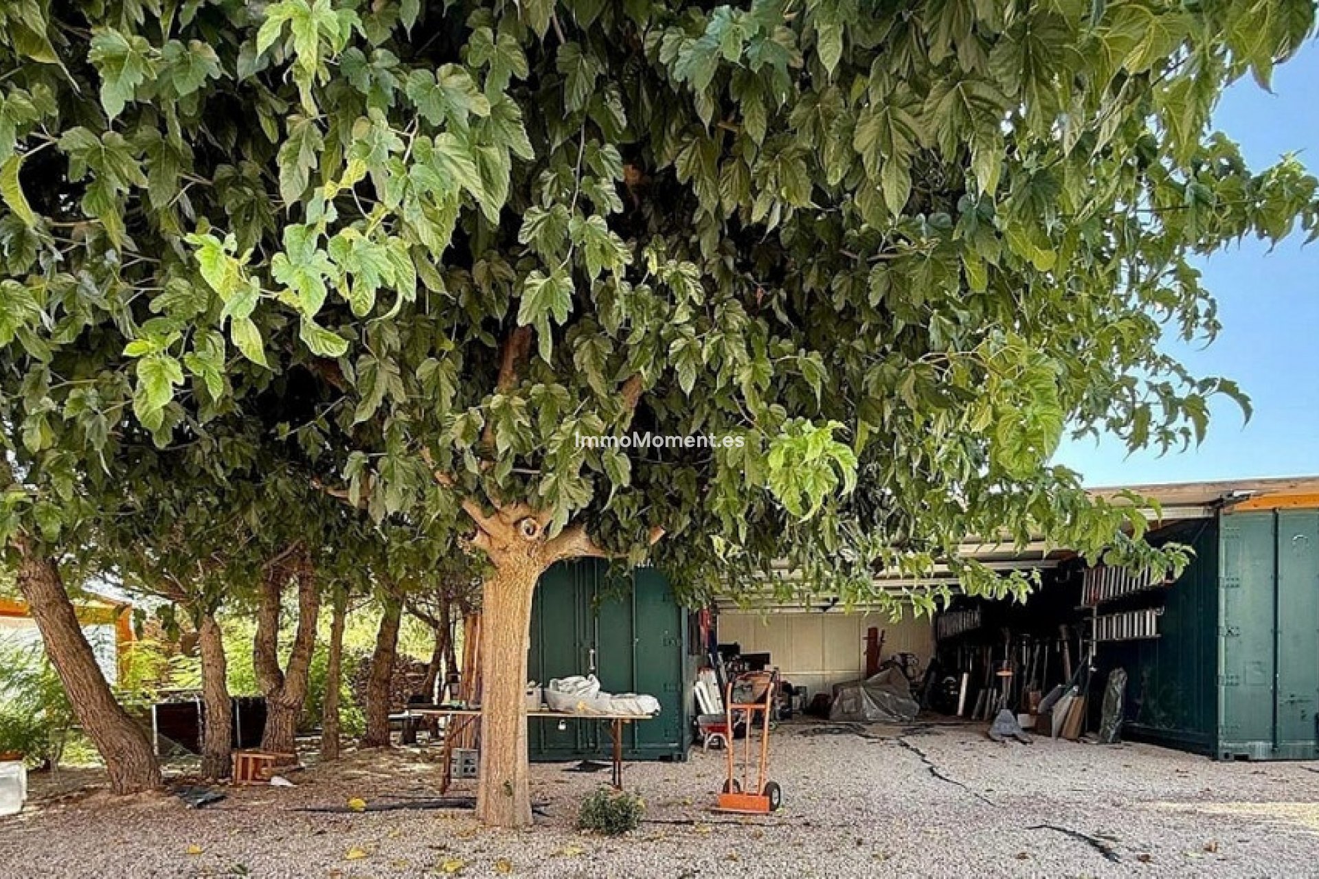 Wiederverkauf - Landhaus - Pinoso - Pinoso Centro