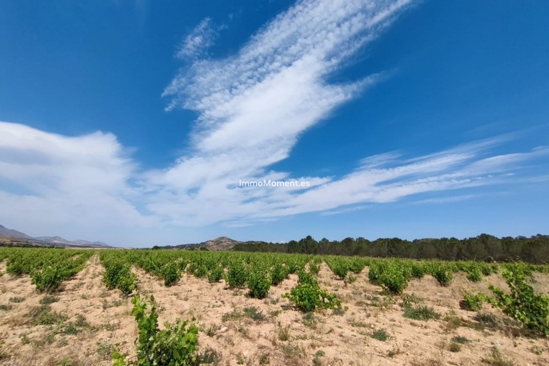 Wiederverkauf - Landhaus - Yecla - Yecla Centro