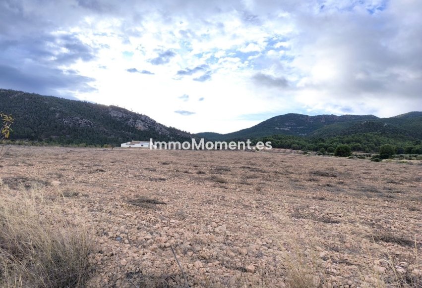 Wiederverkauf - Landhaus - Yecla - Yecla Centro