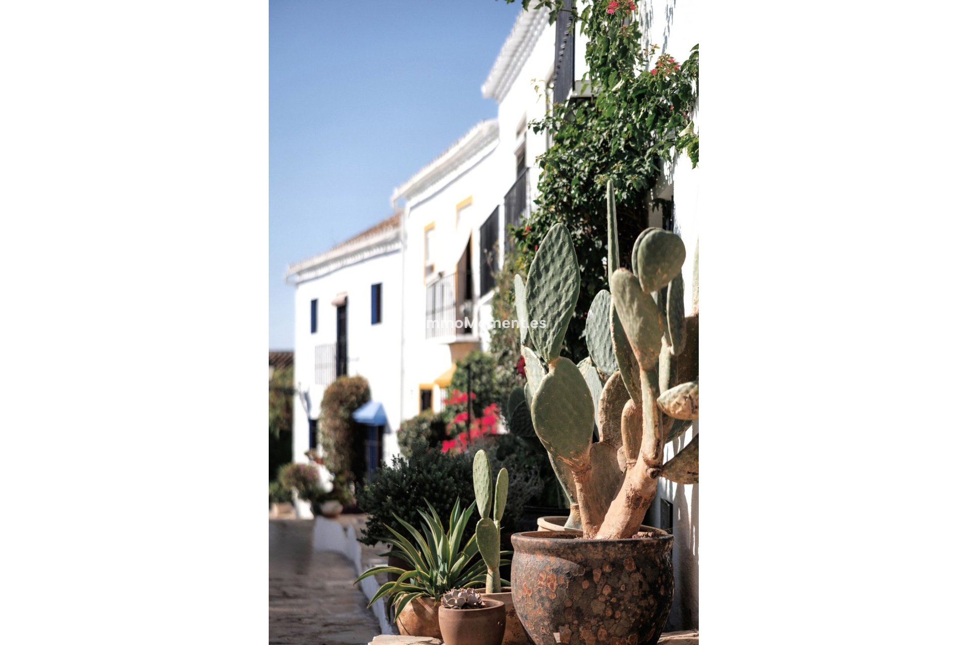 Wiederverkauf - Reihenhaus - Marbella - Nueva Andalucía