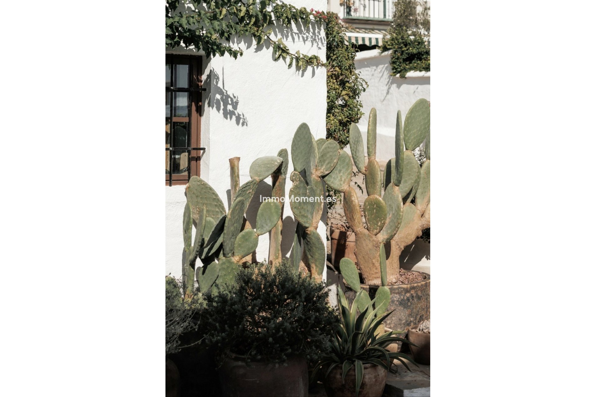 Wiederverkauf - Reihenhaus - Marbella - Nueva Andalucía