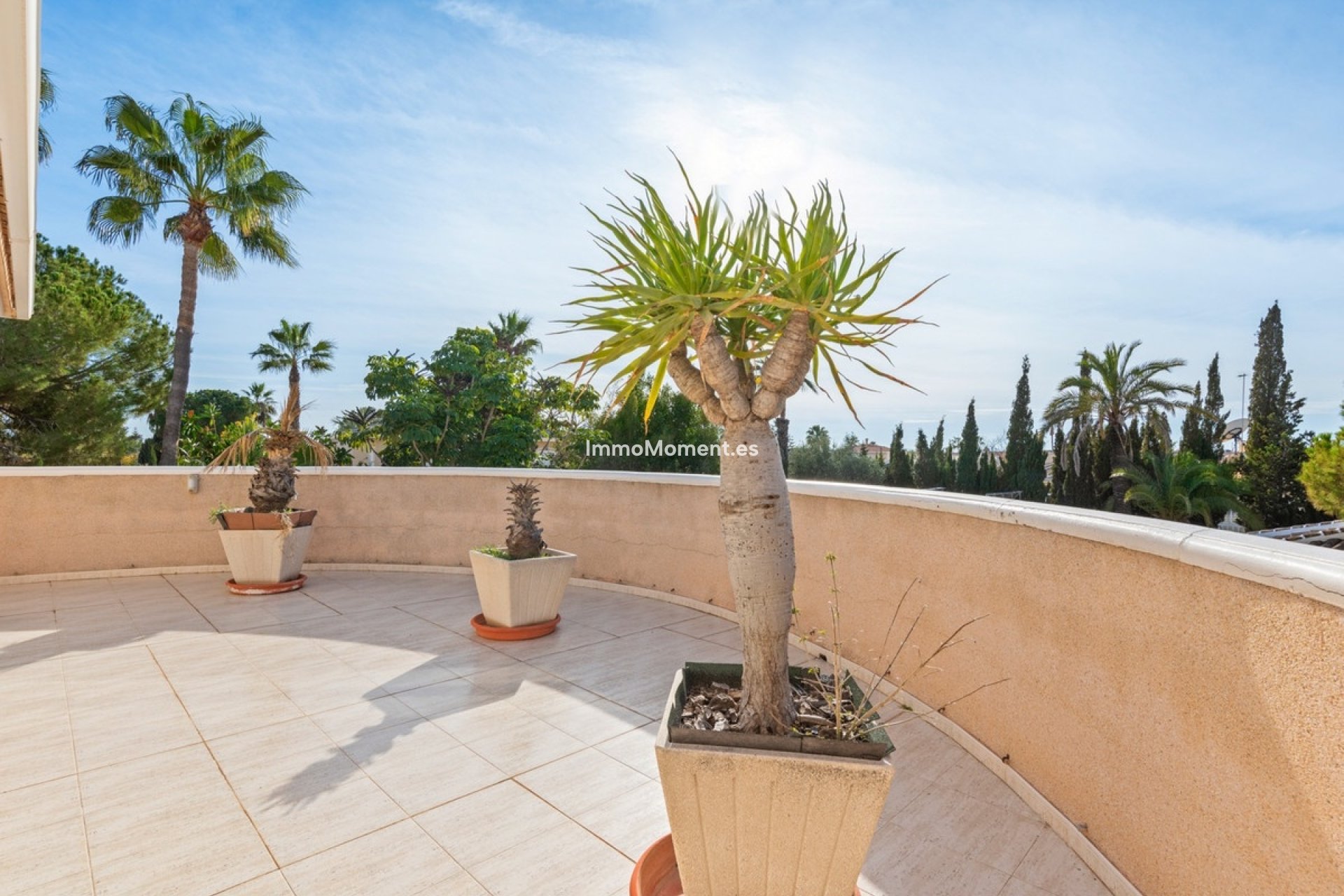 Wiederverkauf - Reihenhaus - Rojales - Dona Pepa