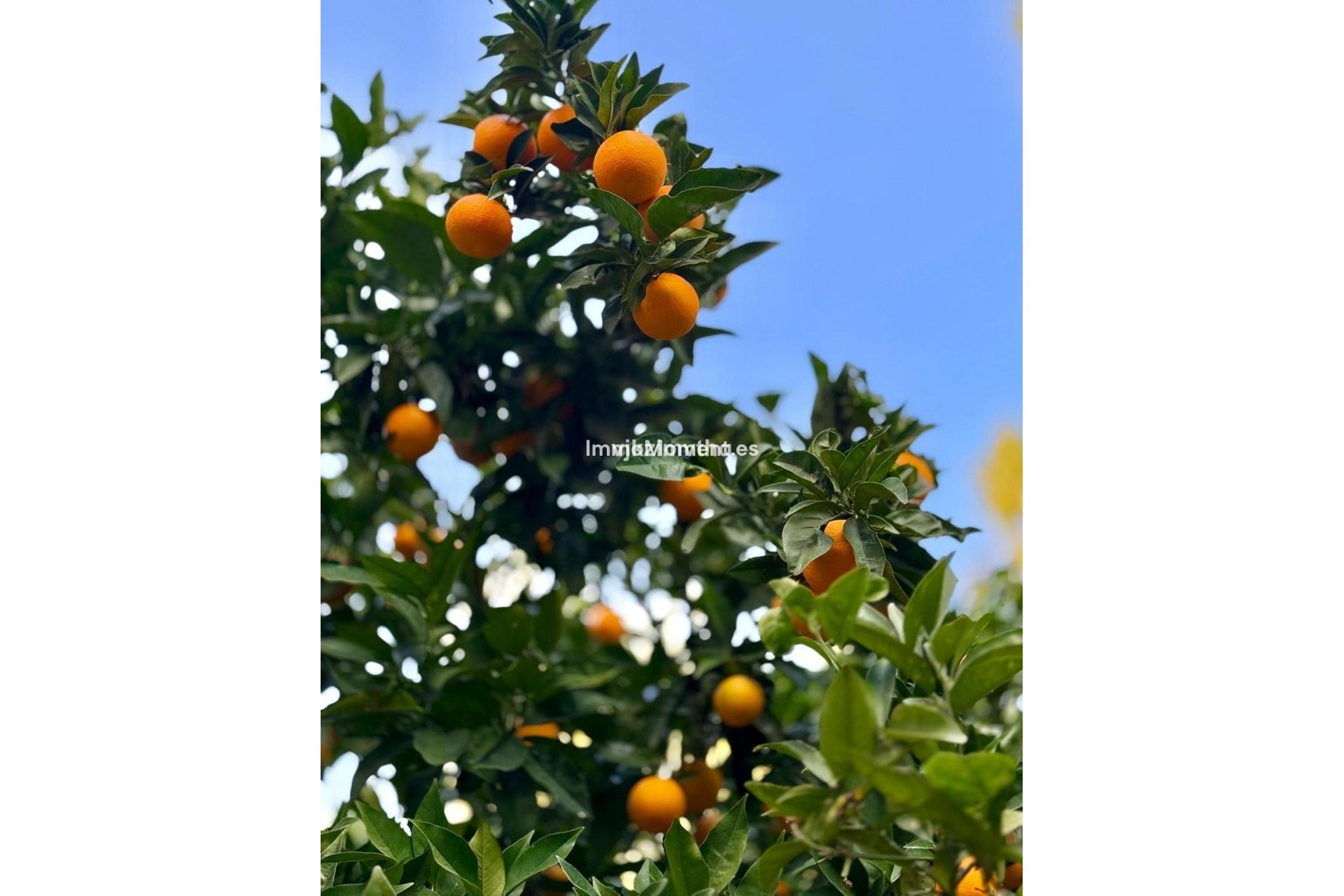 Wiederverkauf - Villa - Benalmadena - Benalmadena Pueblo