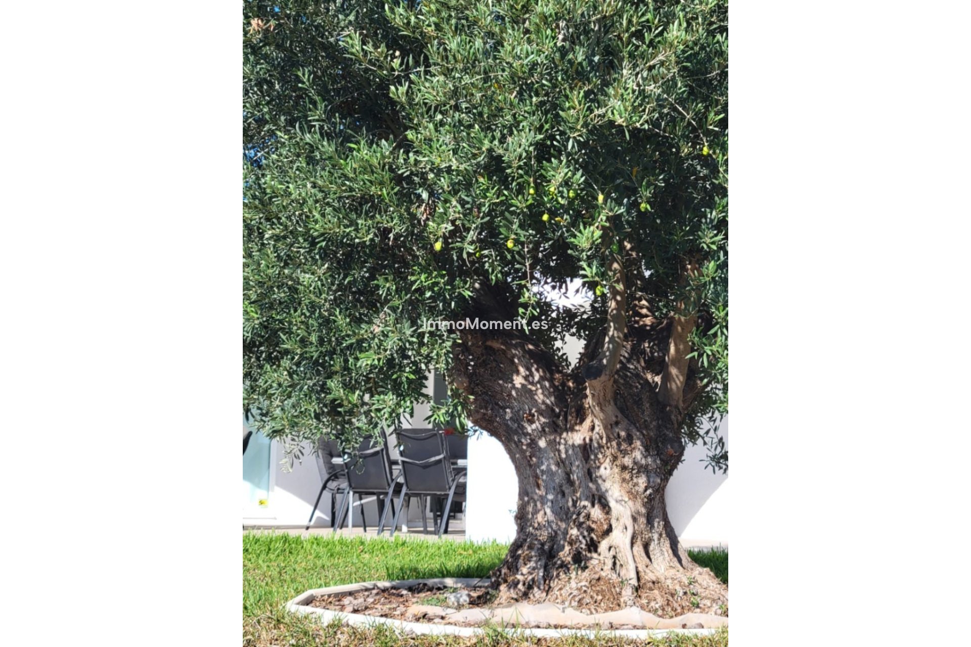 Wiederverkauf - Villa - Calpe - Calpe Centro