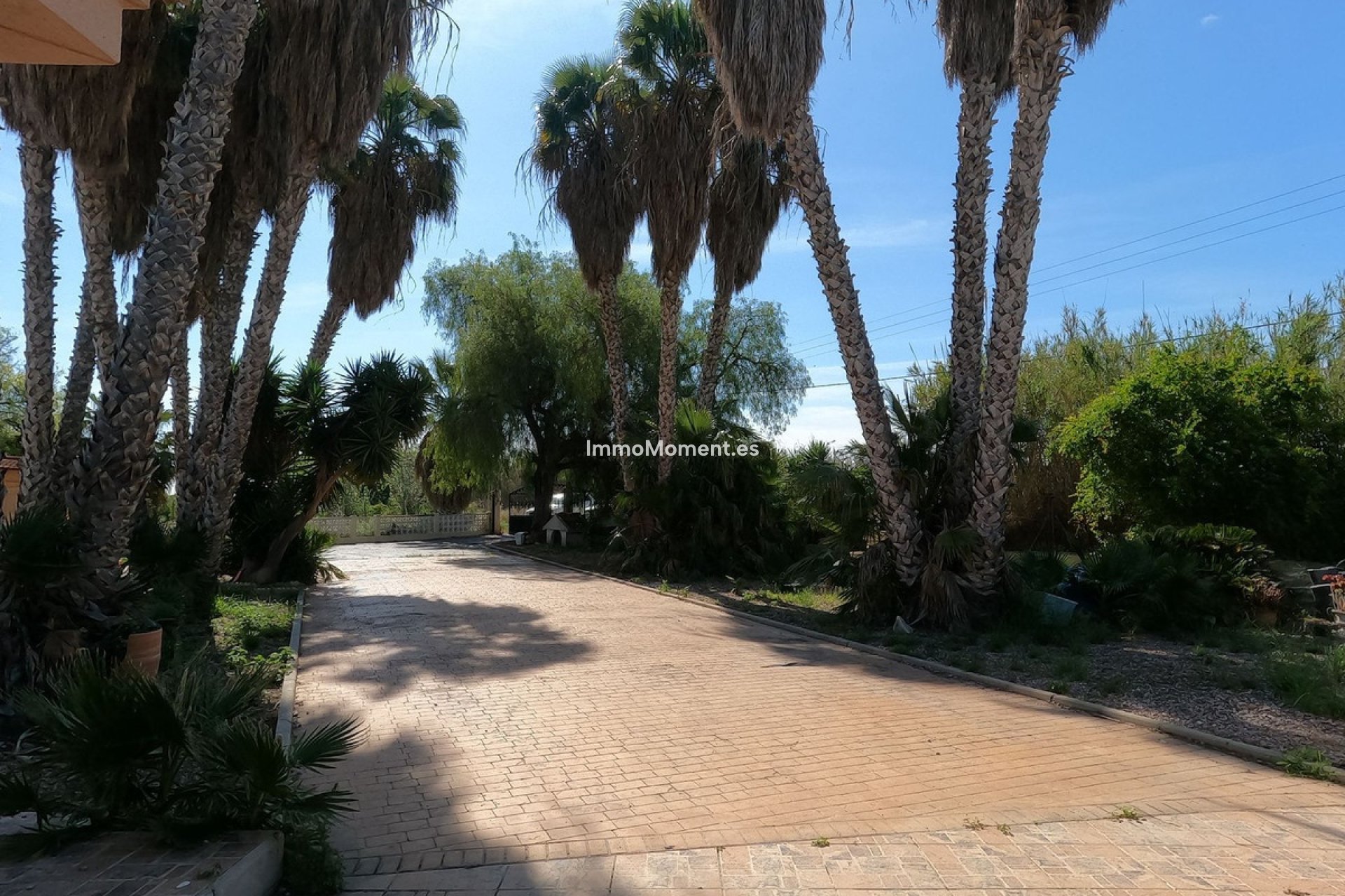 Wiederverkauf - Villa - Dolores - Dolores Centro