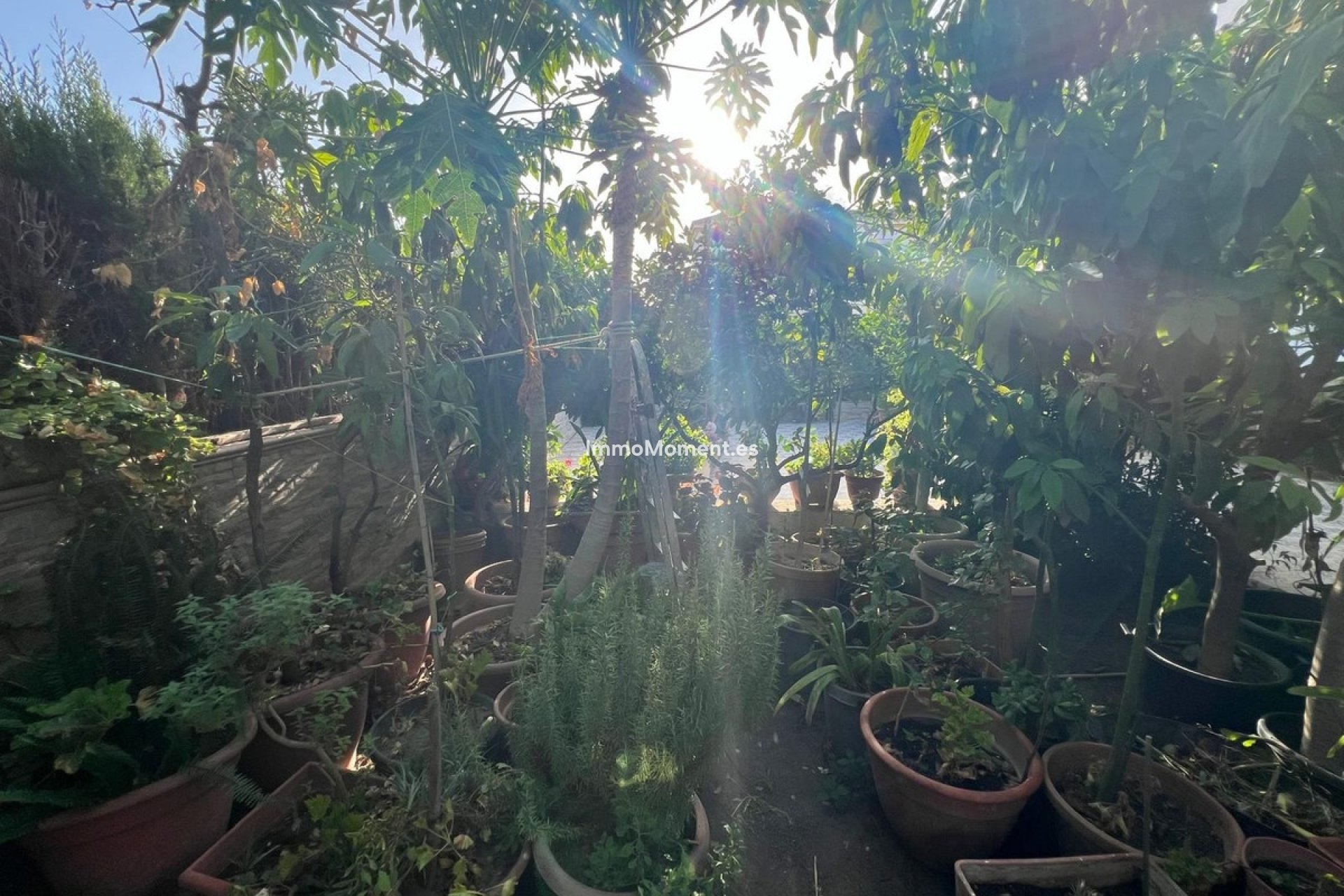 Wiederverkauf - Villa - Estepona  - Estepona Centro