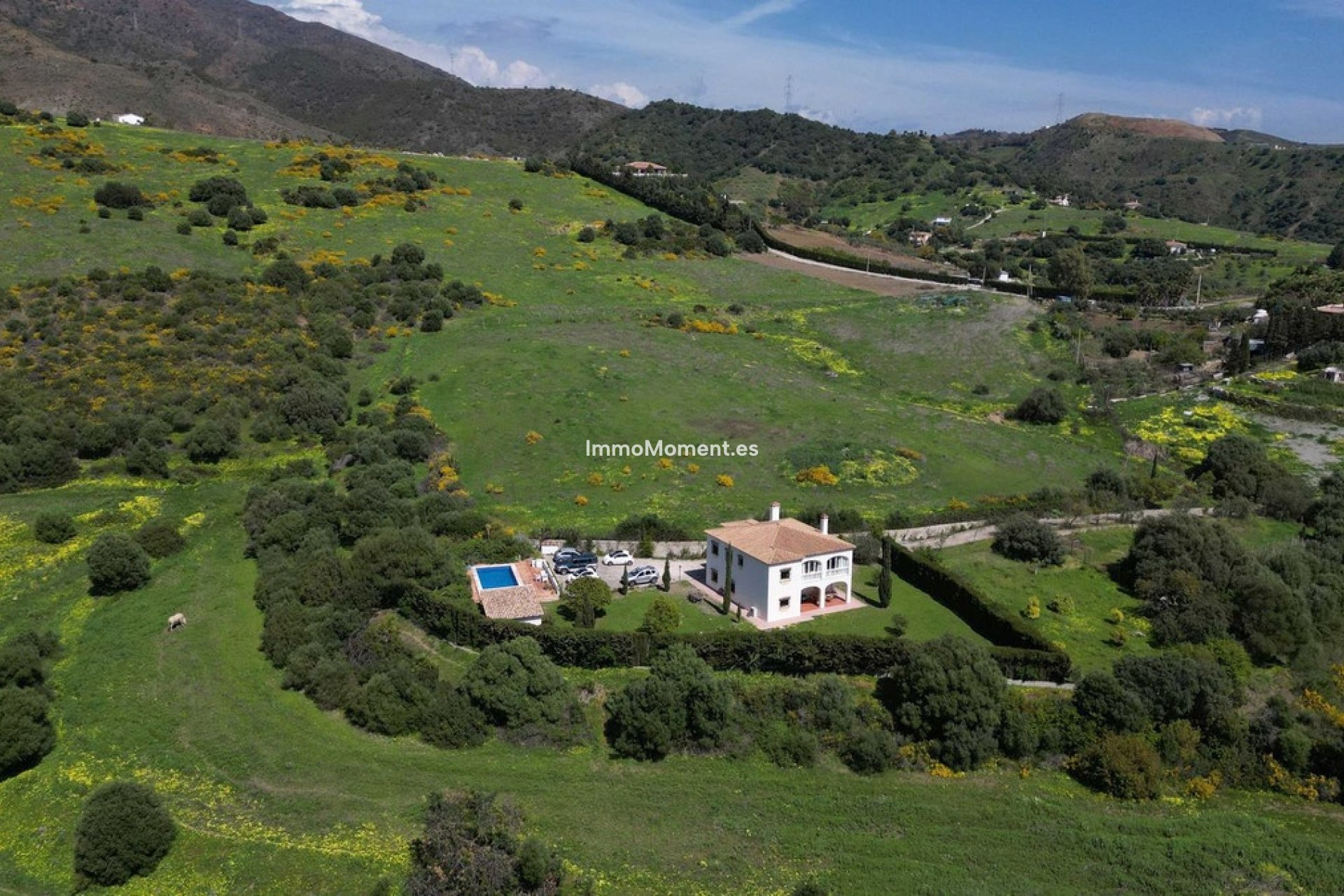 Wiederverkauf - Villa - Estepona  - Estepona Centro