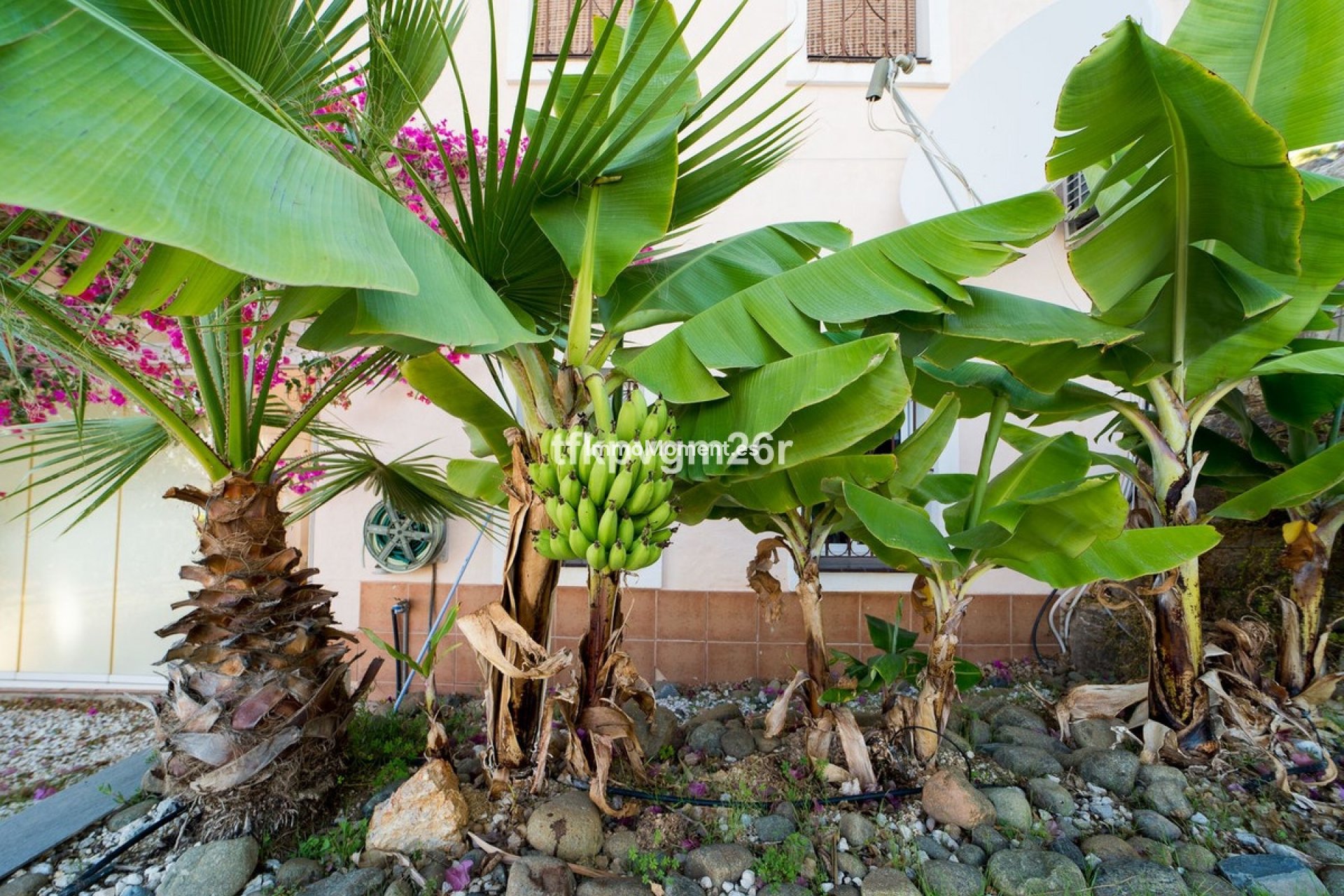 Wiederverkauf - Villa - Estepona  - Estepona Centro