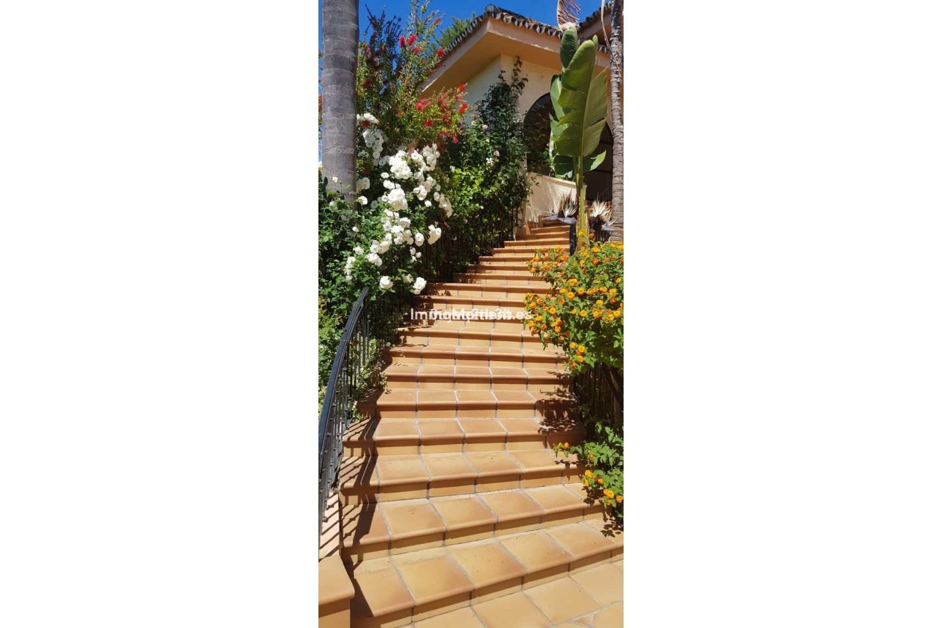 Wiederverkauf - Villa - Estepona  - New Golden Mile