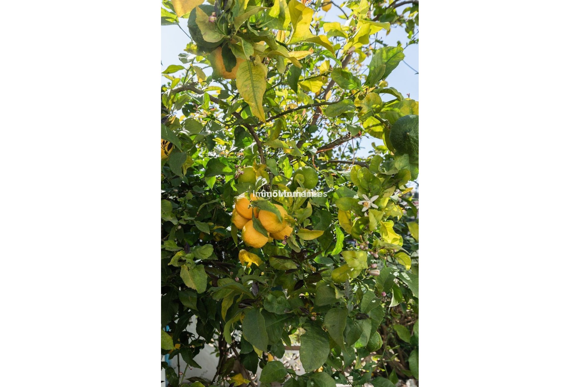 Wiederverkauf - Villa - Fuengirola - Torreblanca