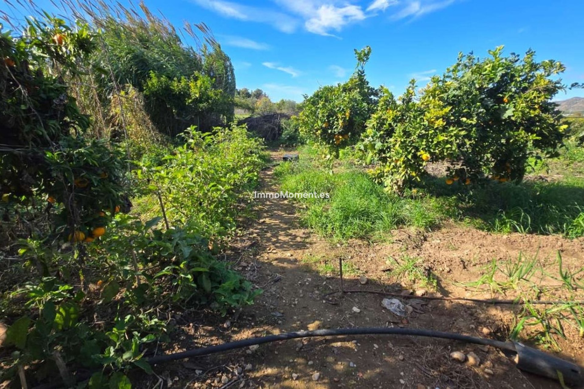 Wiederverkauf - Villa -   Inländisch - Alhaurín de la Torre