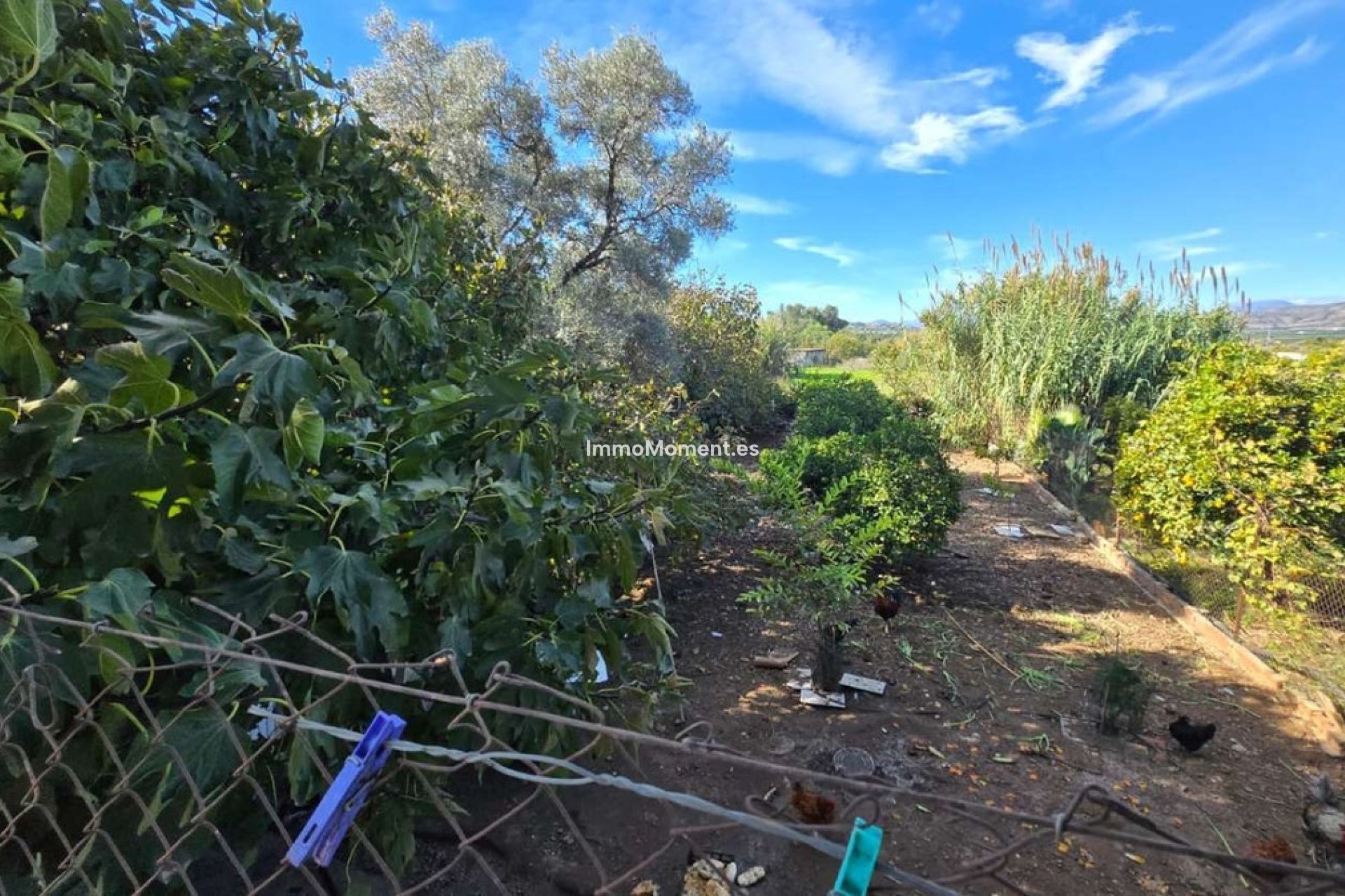 Wiederverkauf - Villa -   Inländisch - Alhaurín de la Torre