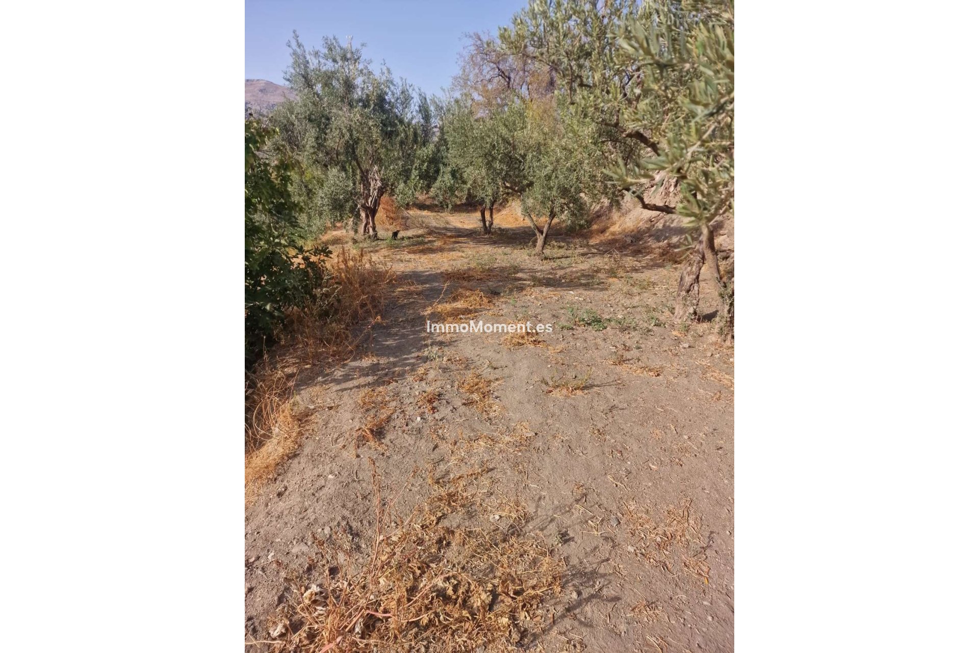 Wiederverkauf - Villa -   Inländisch - Alora