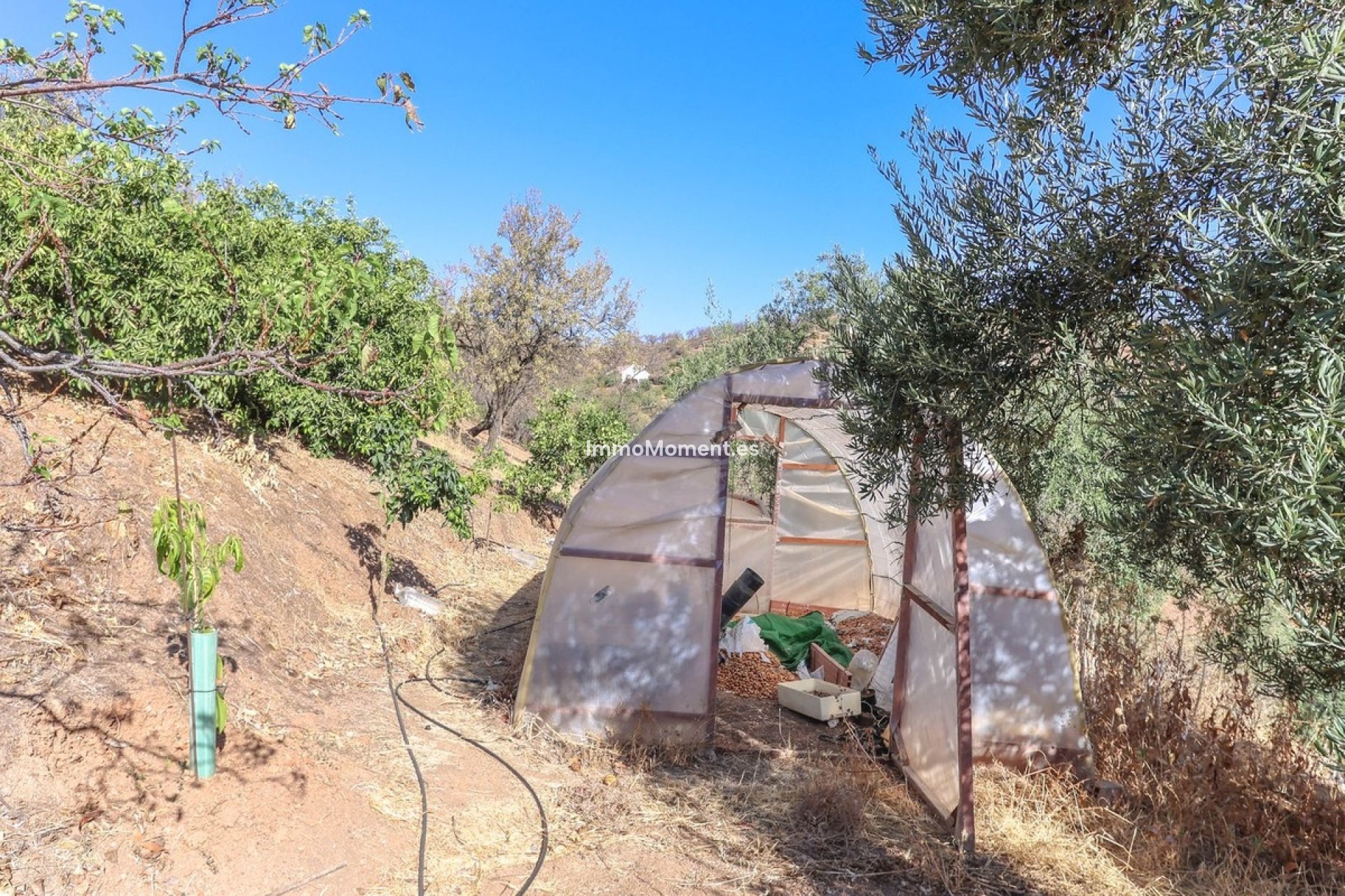 Wiederverkauf - Villa -   Inländisch - Guaro