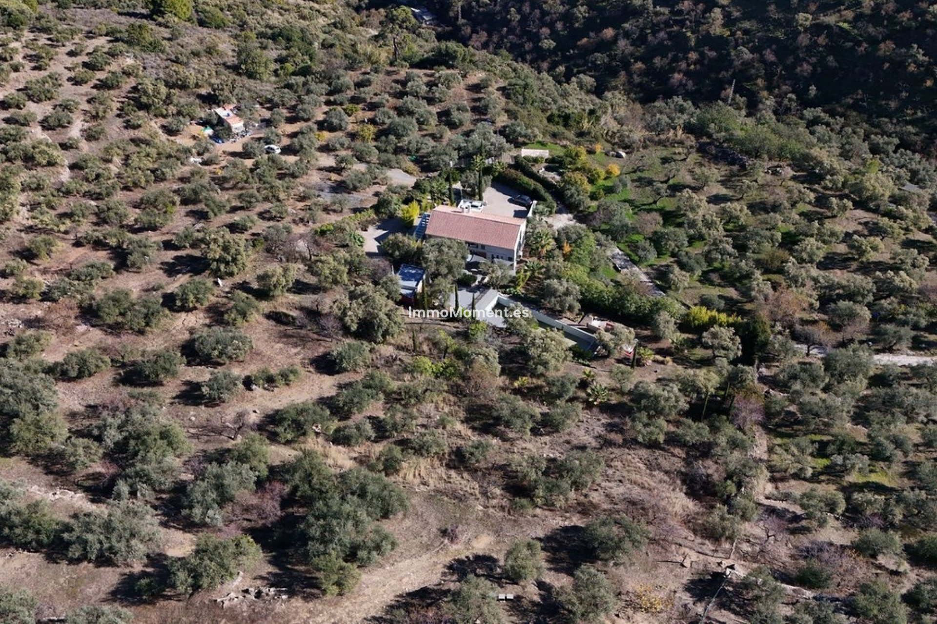 Wiederverkauf - Villa -   Inländisch - Monda