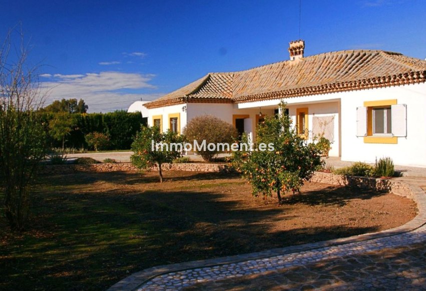Wiederverkauf - Villa - Lorca - Lorca Centro