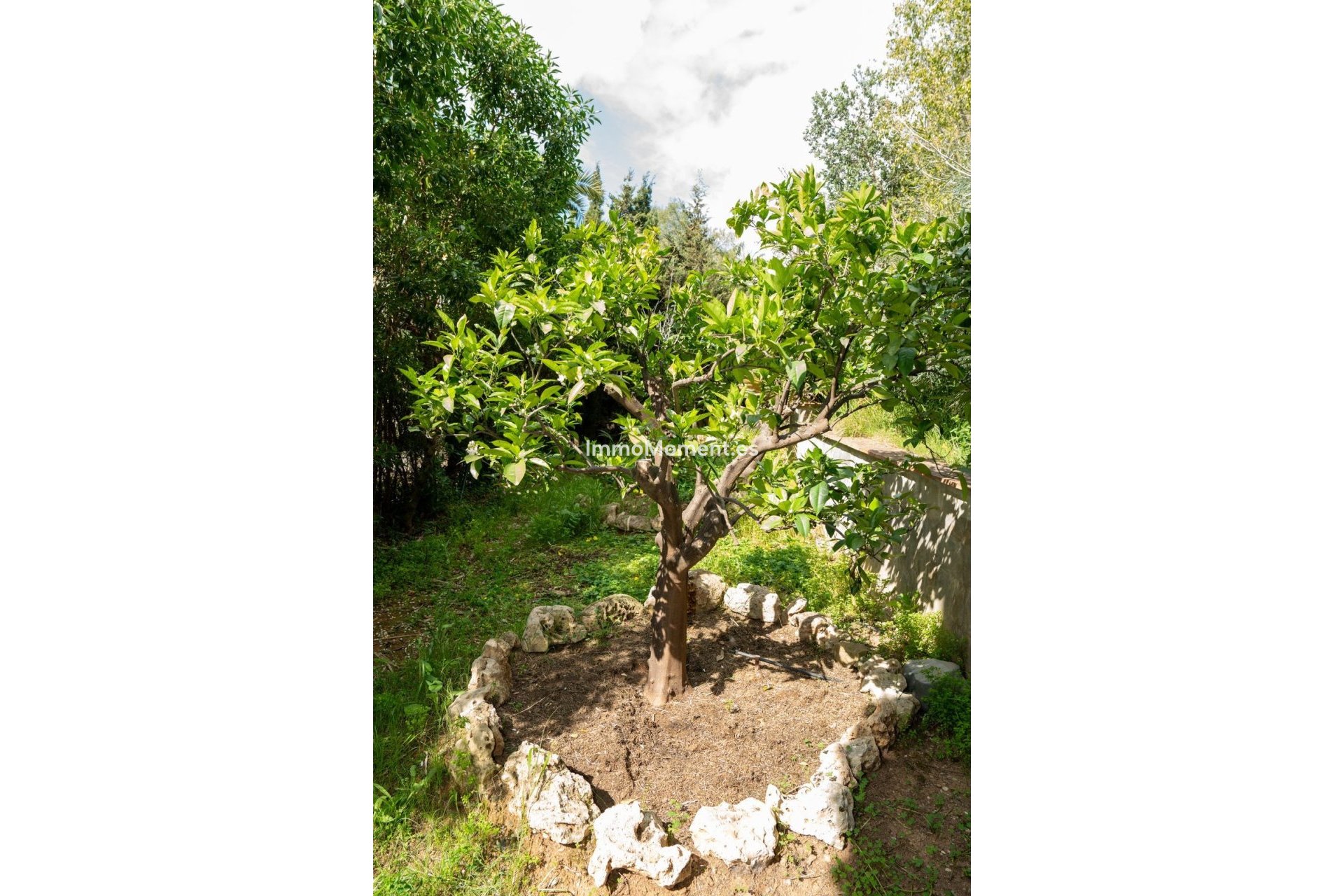 Wiederverkauf - Villa - Marbella - Elviria