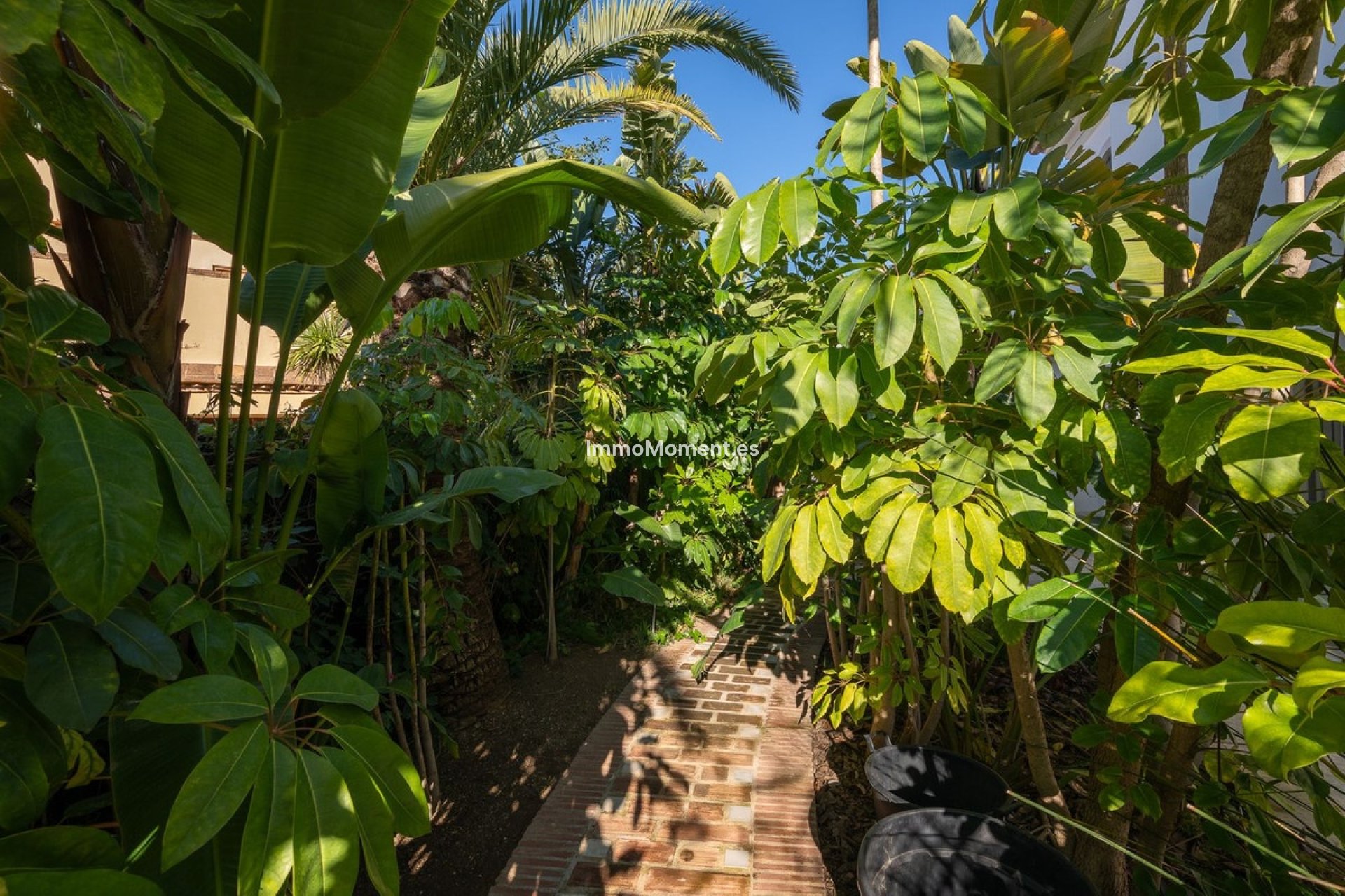 Wiederverkauf - Villa - Marbella - Marbesa