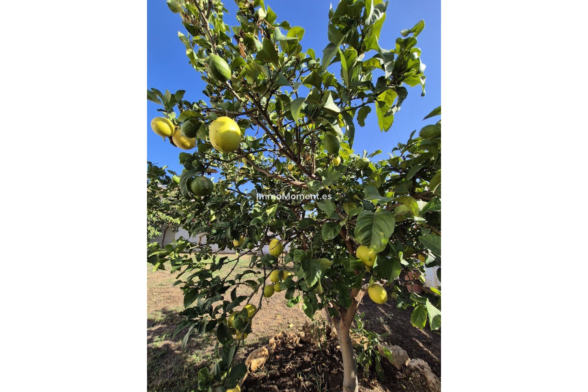 Wiederverkauf - Villa - Marbella - San Pedro de Alcántara