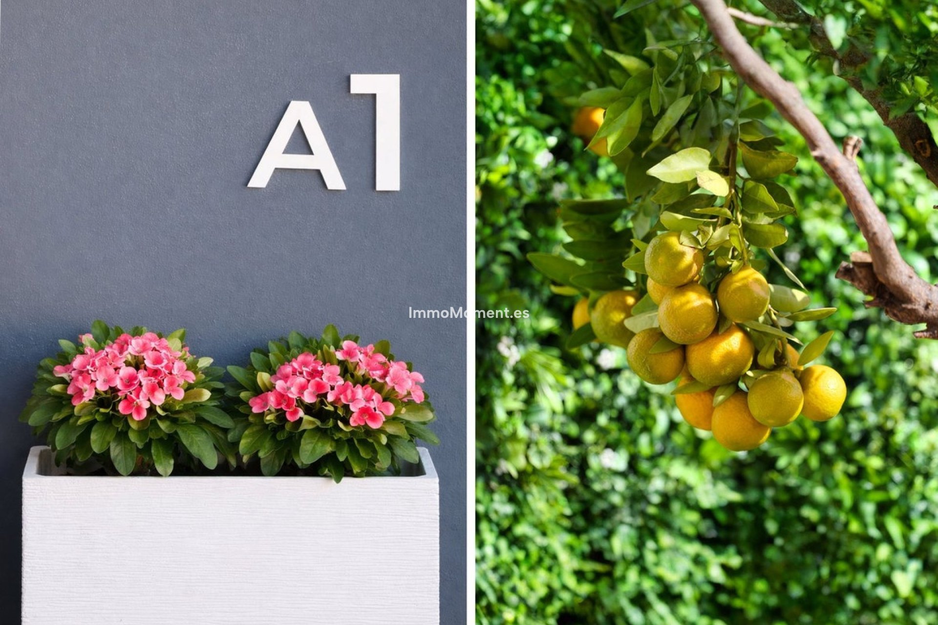 Wiederverkauf - Villa - Mijas - Mijas Costa