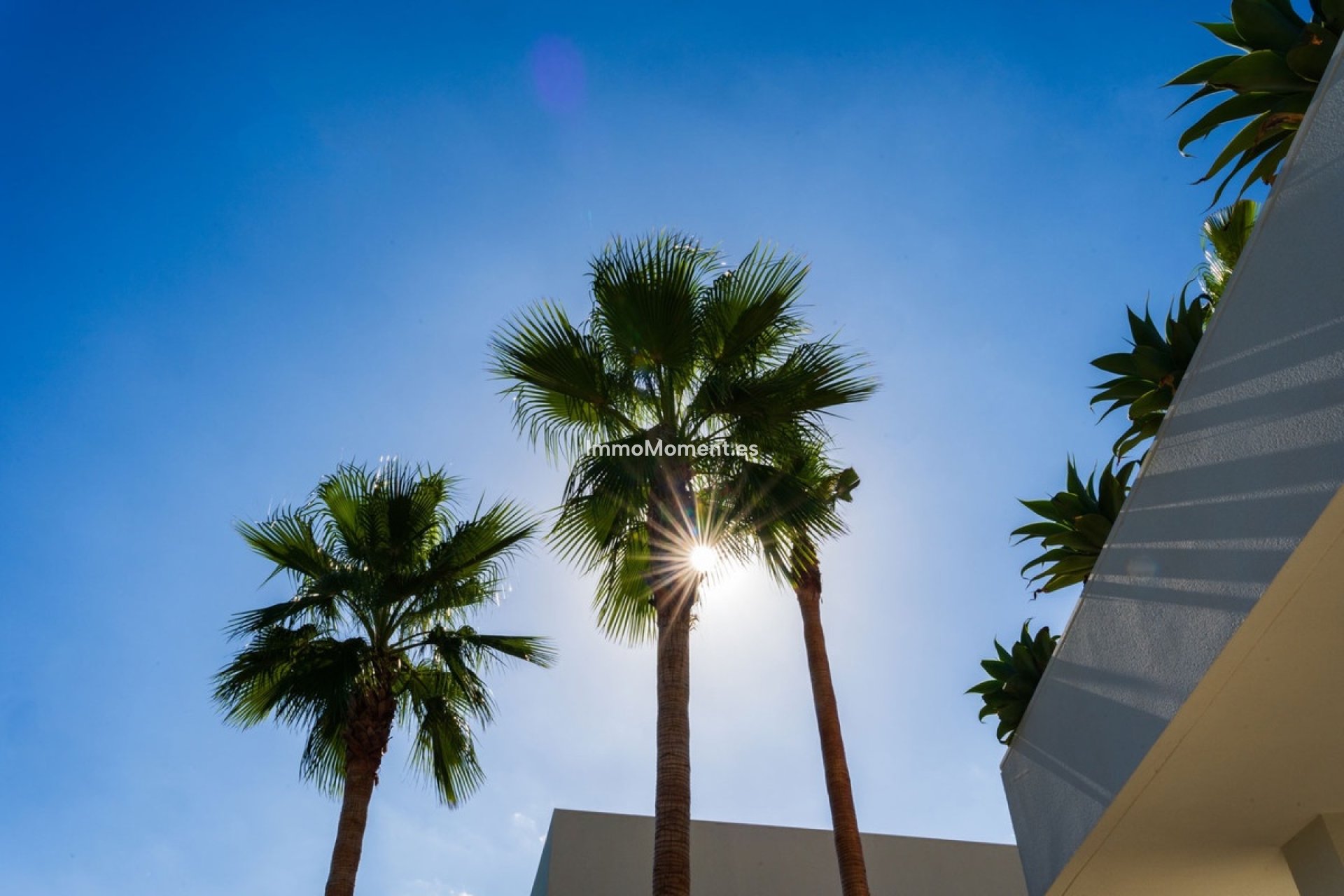 Wiederverkauf - Villa - Orihuela - Las Colinas Golf