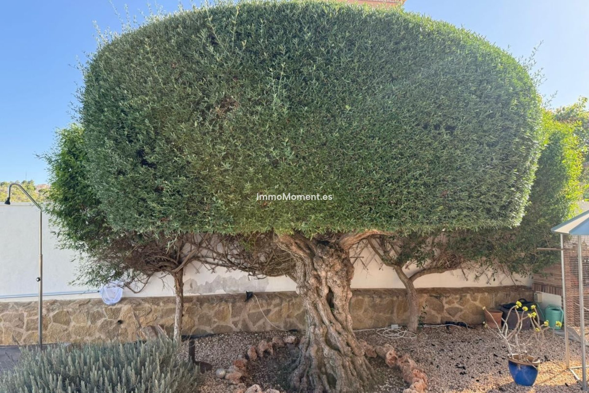 Wiederverkauf - Villa - San Miguel de Salinas - San Miguel de Salinas Centro