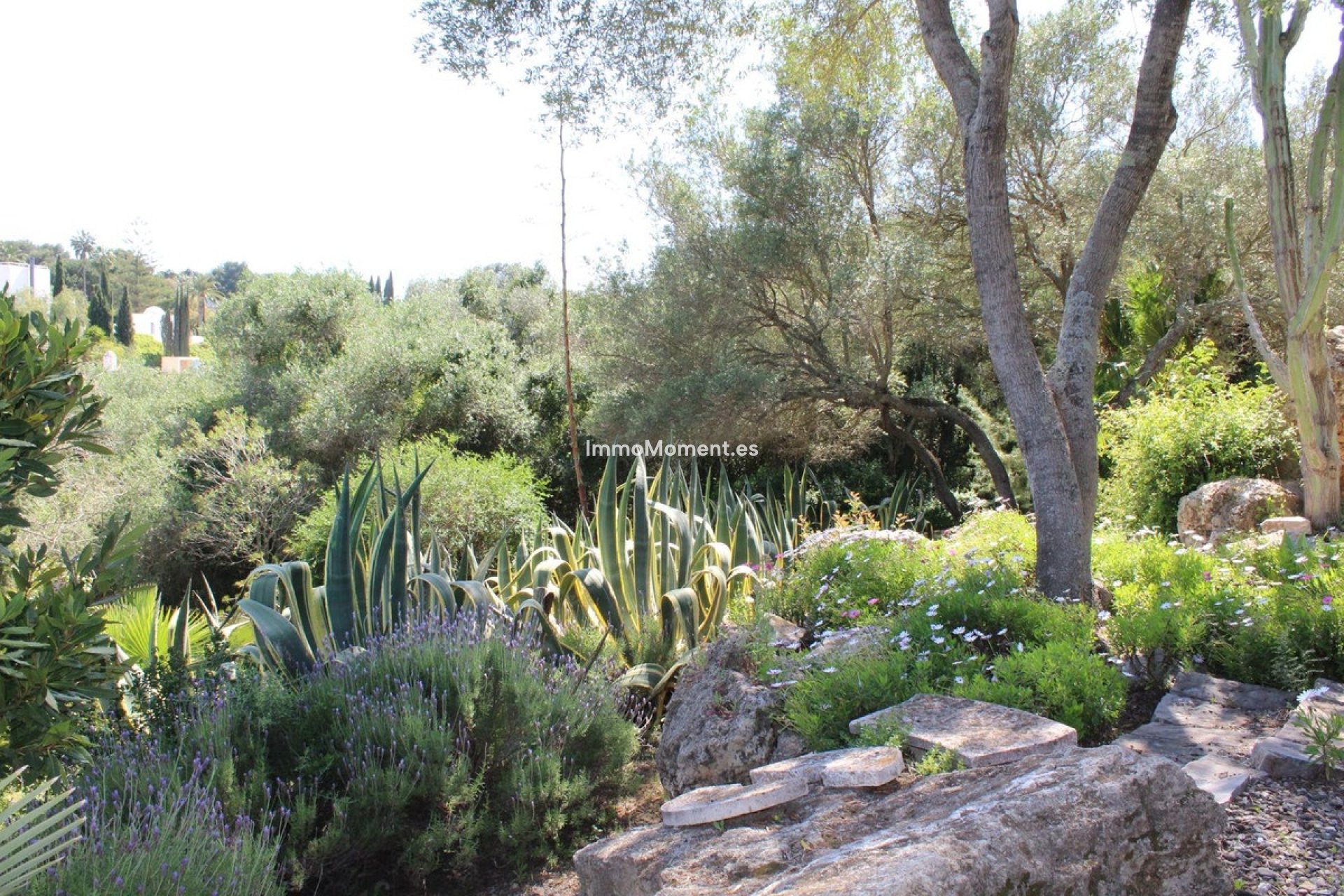 Wiederverkauf - Villa - Sotogrande - Sotogrande Costa