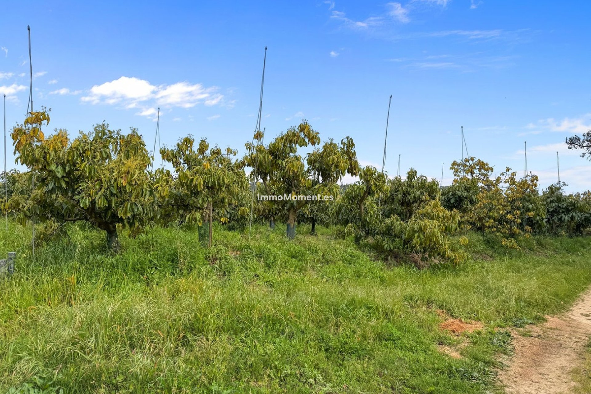 Wiederverkauf - Villa - Sotogrande