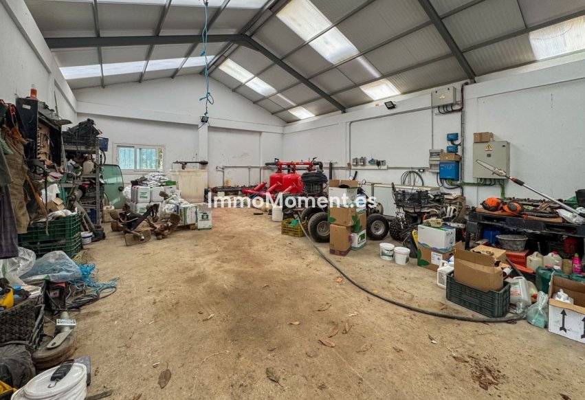 Wiederverkauf - Villa - Sotogrande