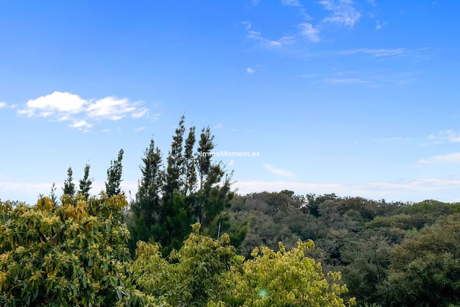 Wiederverkauf - Villa - Sotogrande