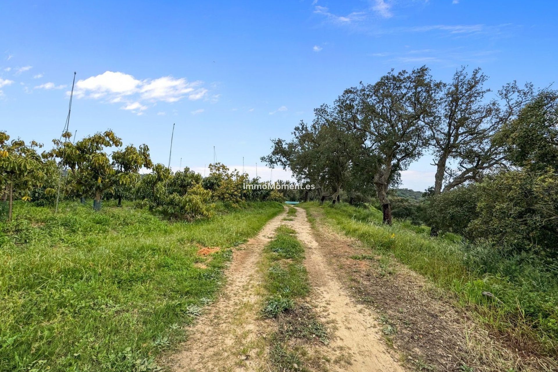 Wiederverkauf - Villa - Sotogrande